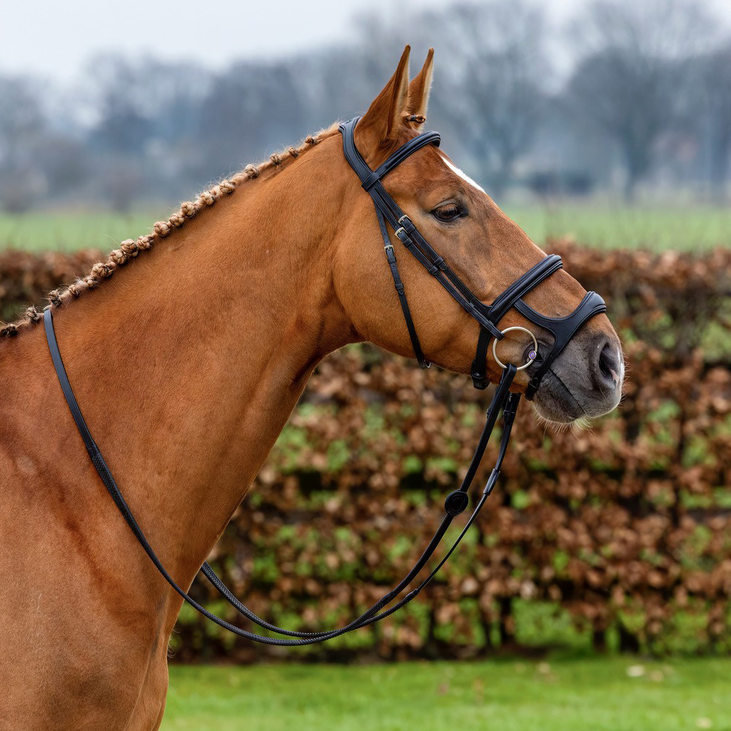 Trust Paris trenshoofdstel dubbele neusriem