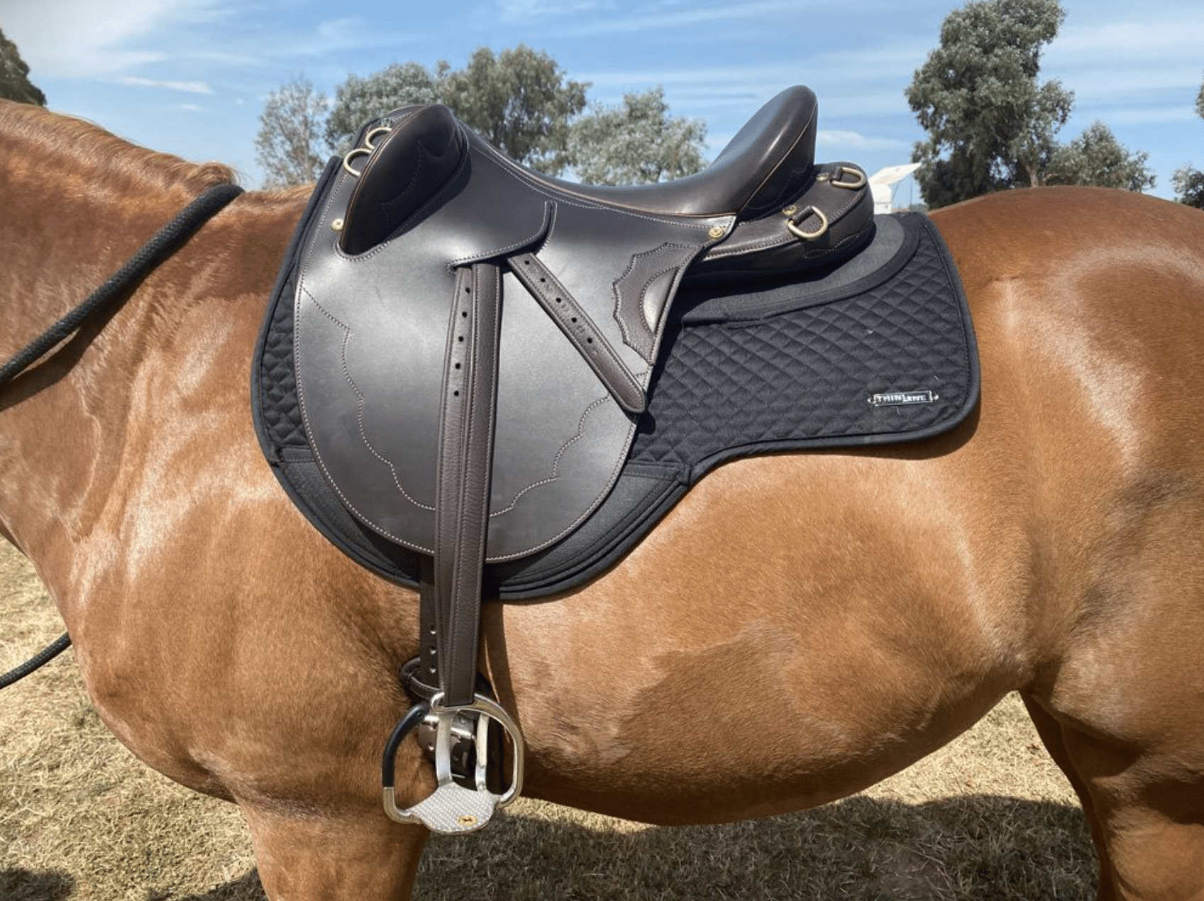 ThinLine Endurance Dropped Rigging Cotton Saddle Pad