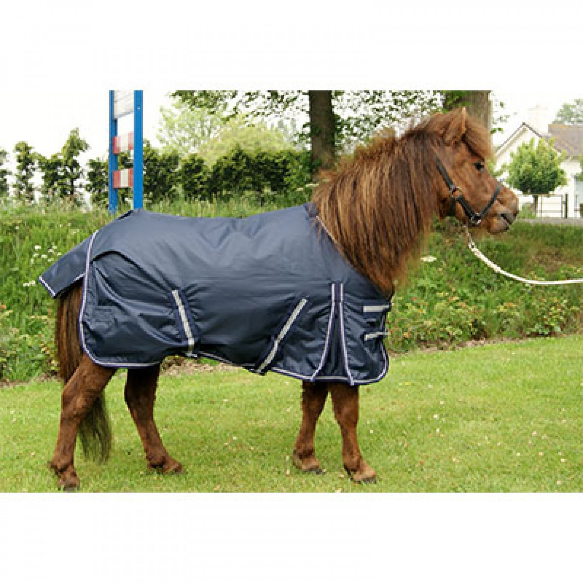 HB Harry and Hector Pony Waterproof Rain Rug Cotton 0g