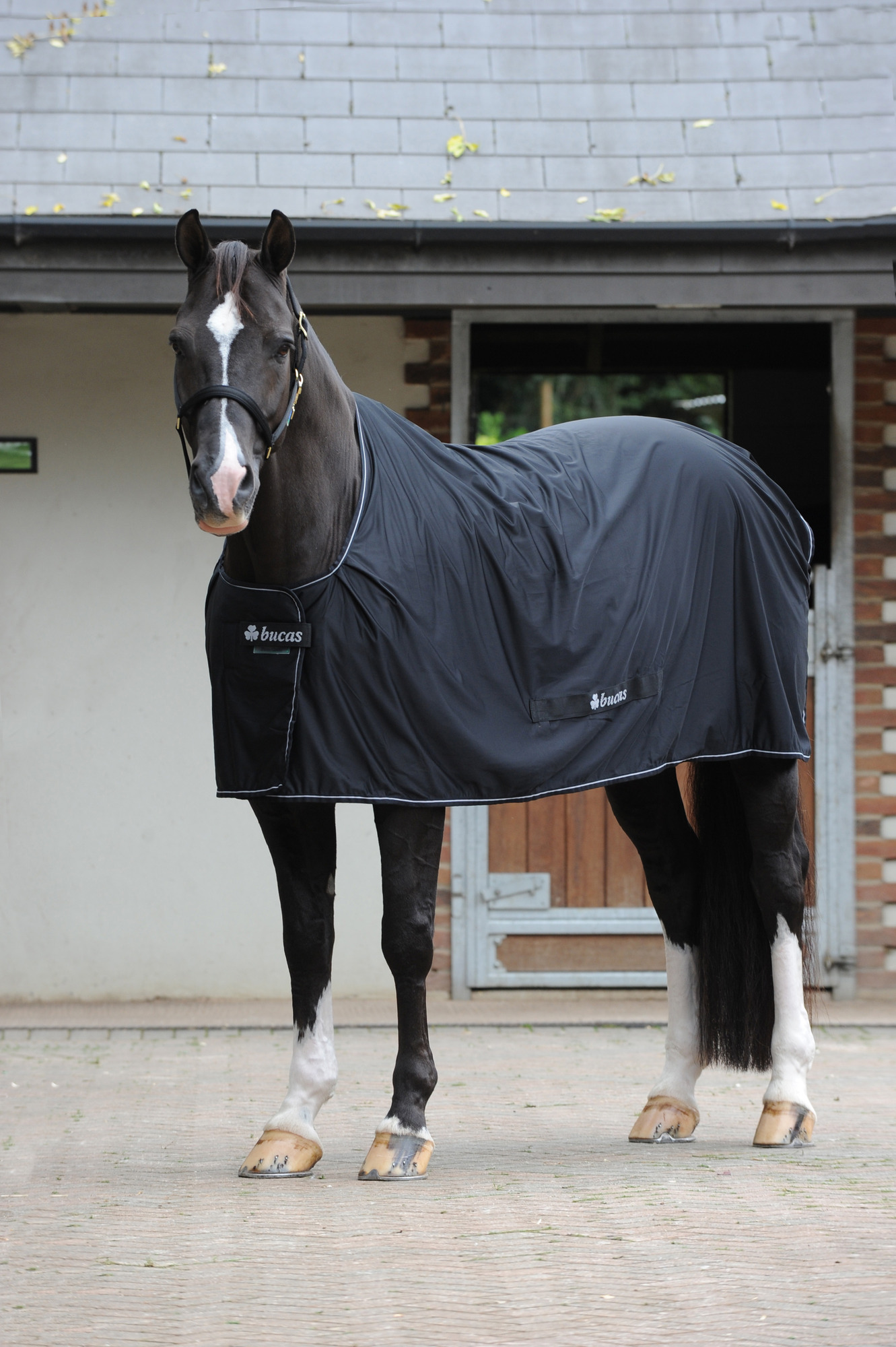 Bucas Power Cooler Zwart