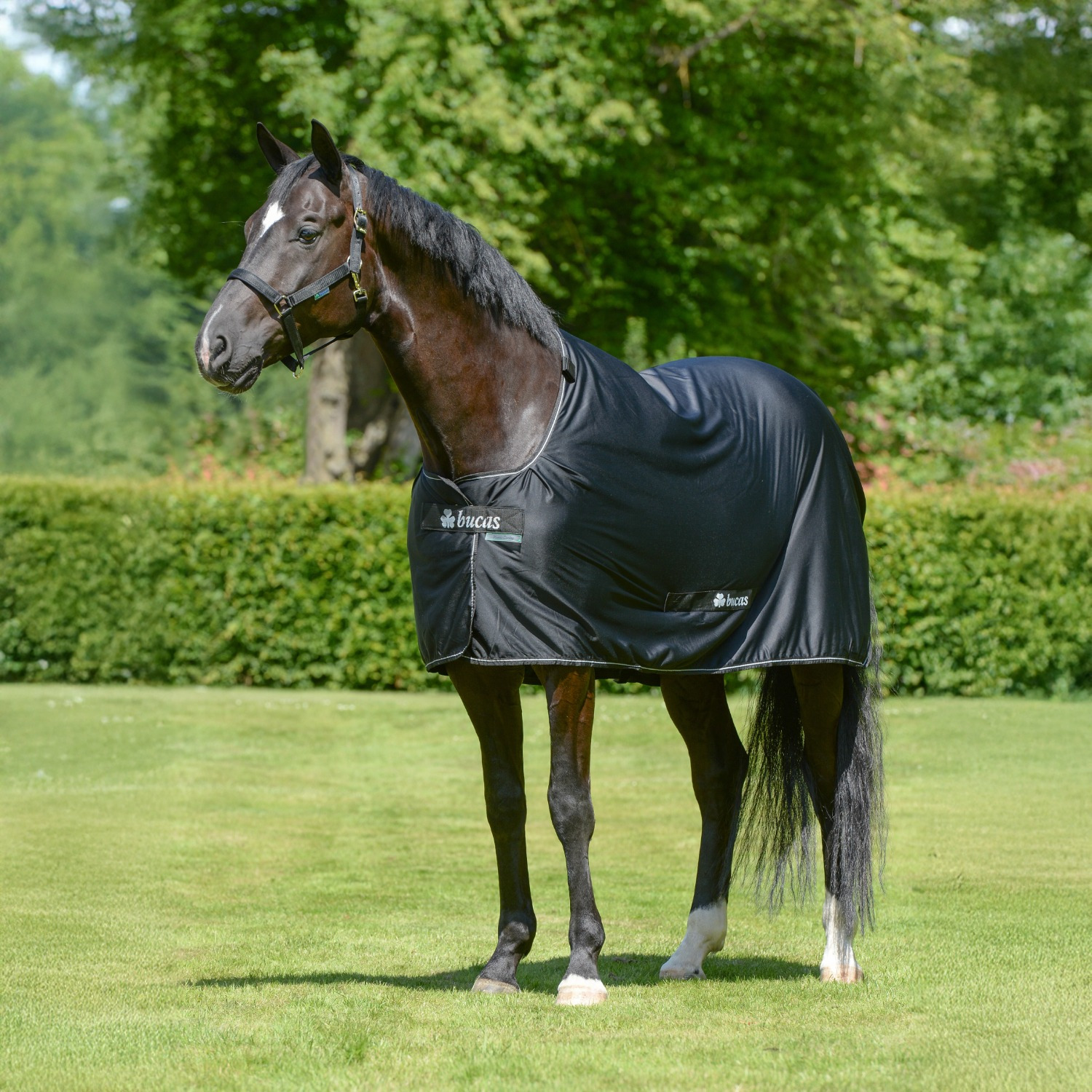 Bucas Power Cooler Zwart