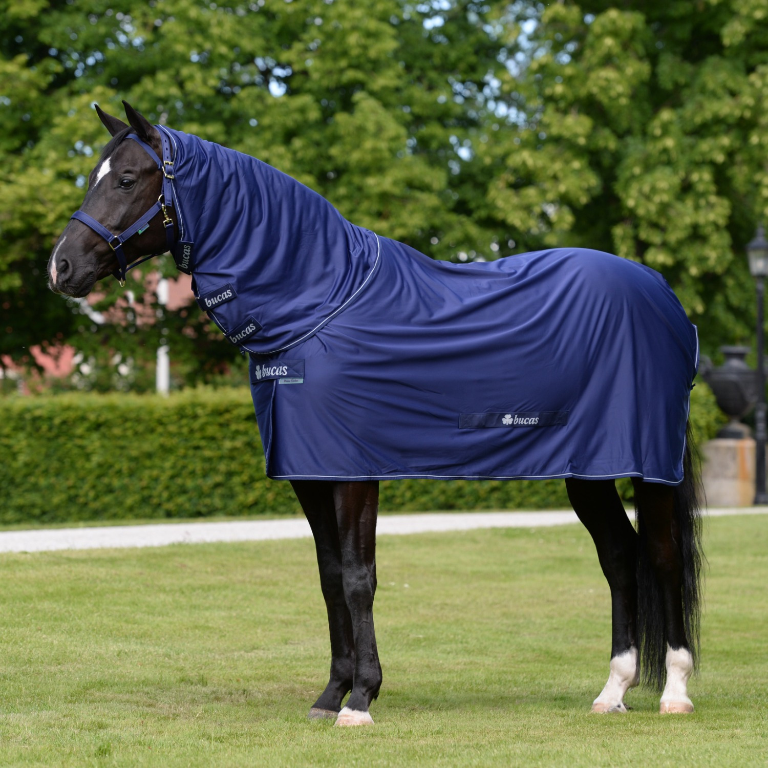 Bucas Power Cooler Met Afneembare Hals