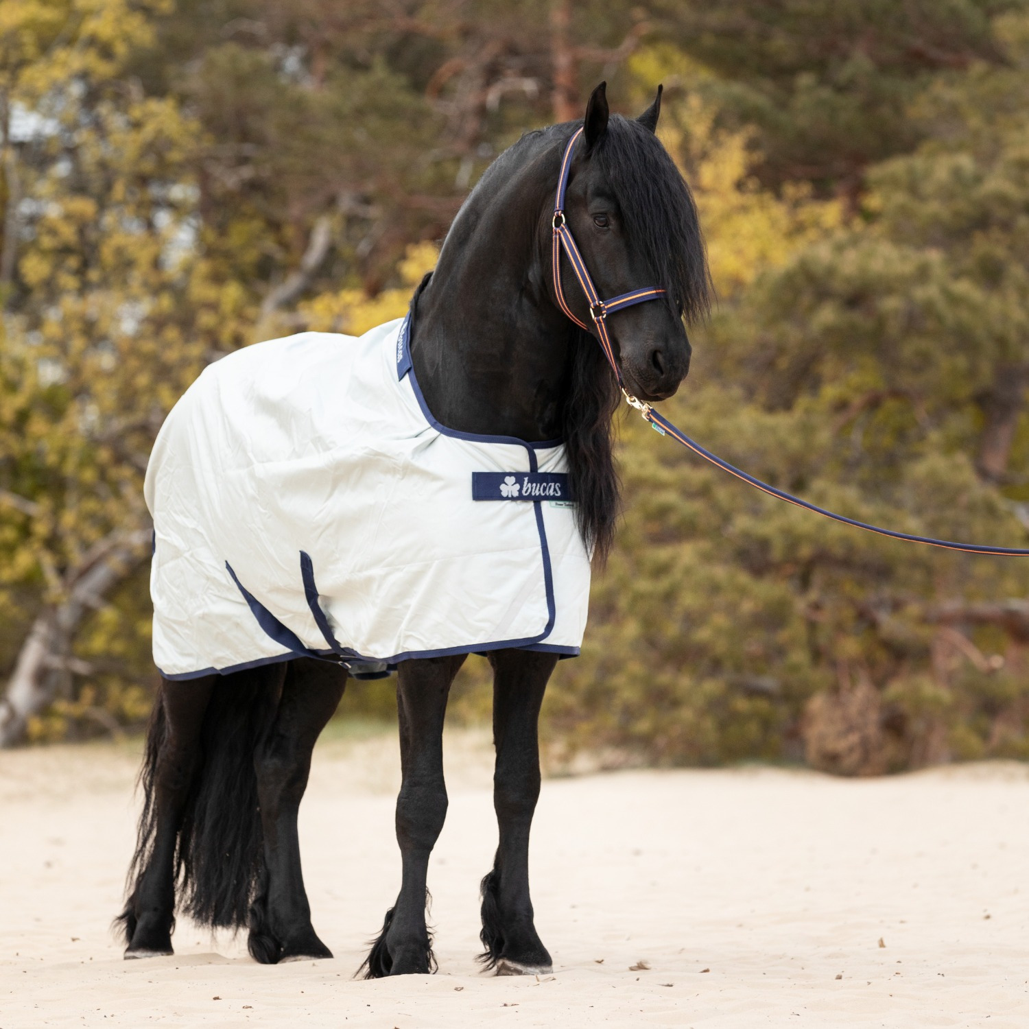 Bucas Power Turnout Big Neck Light