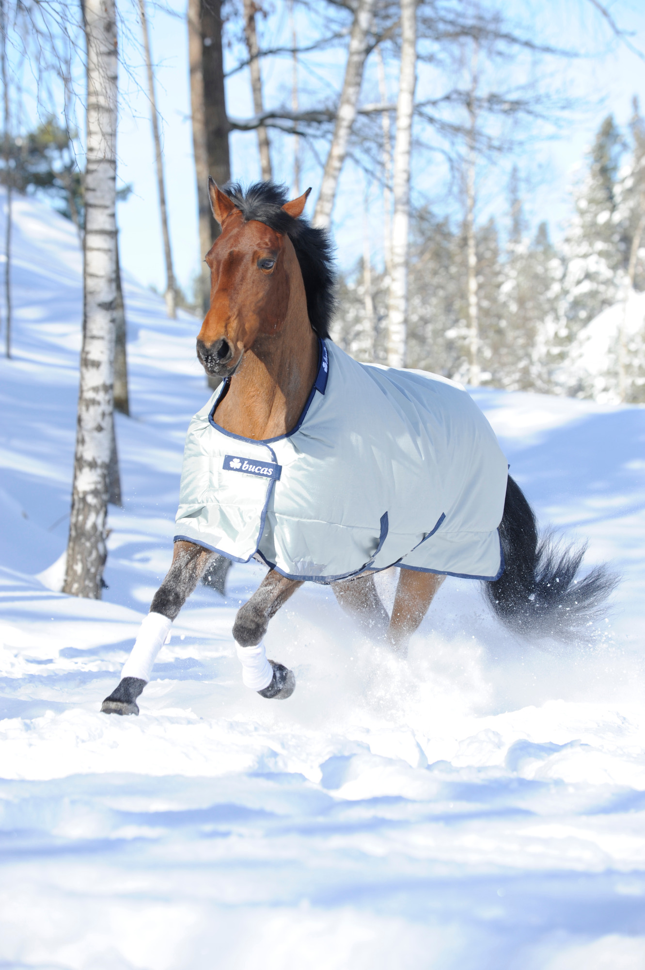 Bucas Power Turnout Light with a Wide Neck