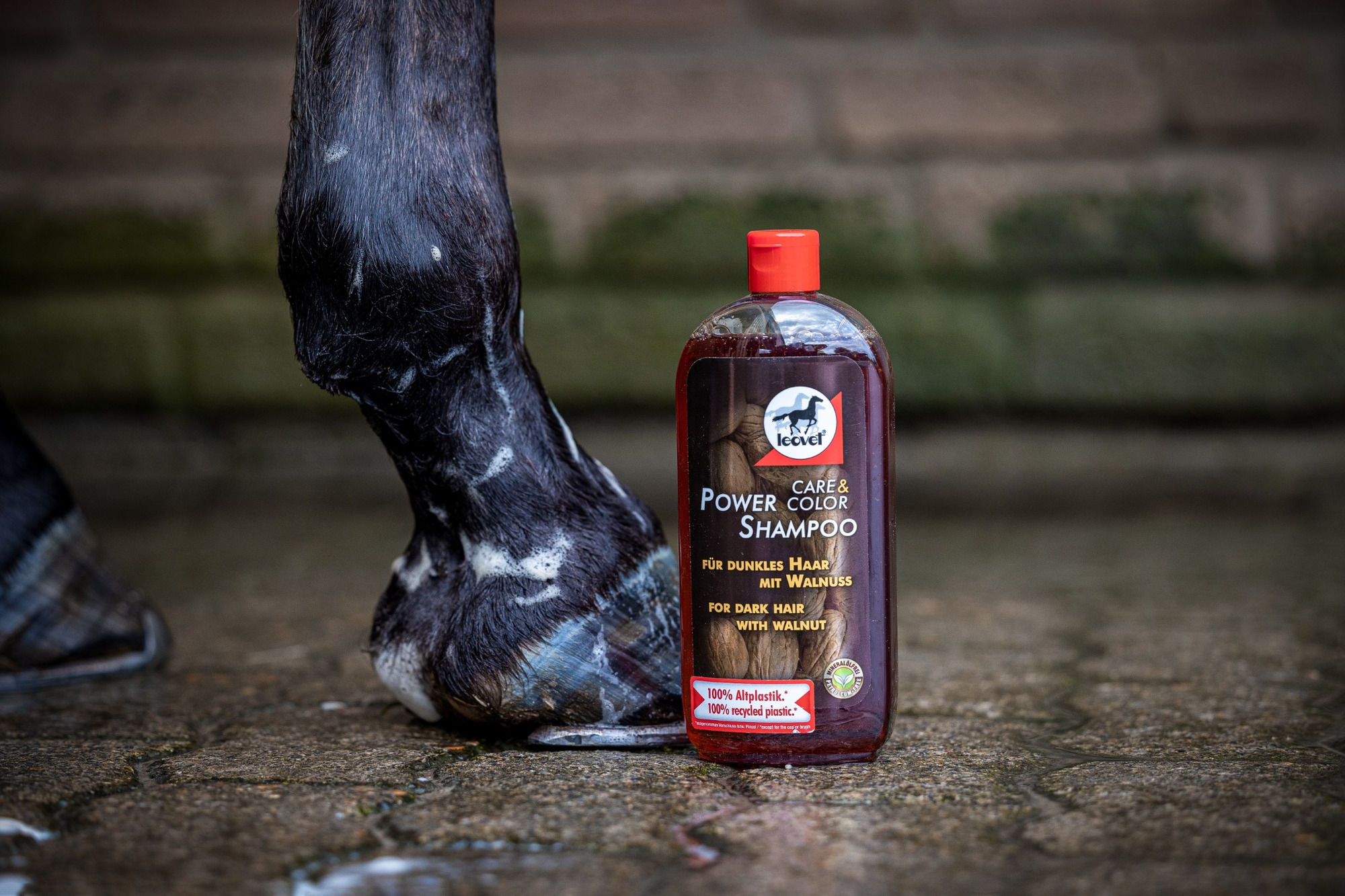 Leovet power shampoo walnut 500ml