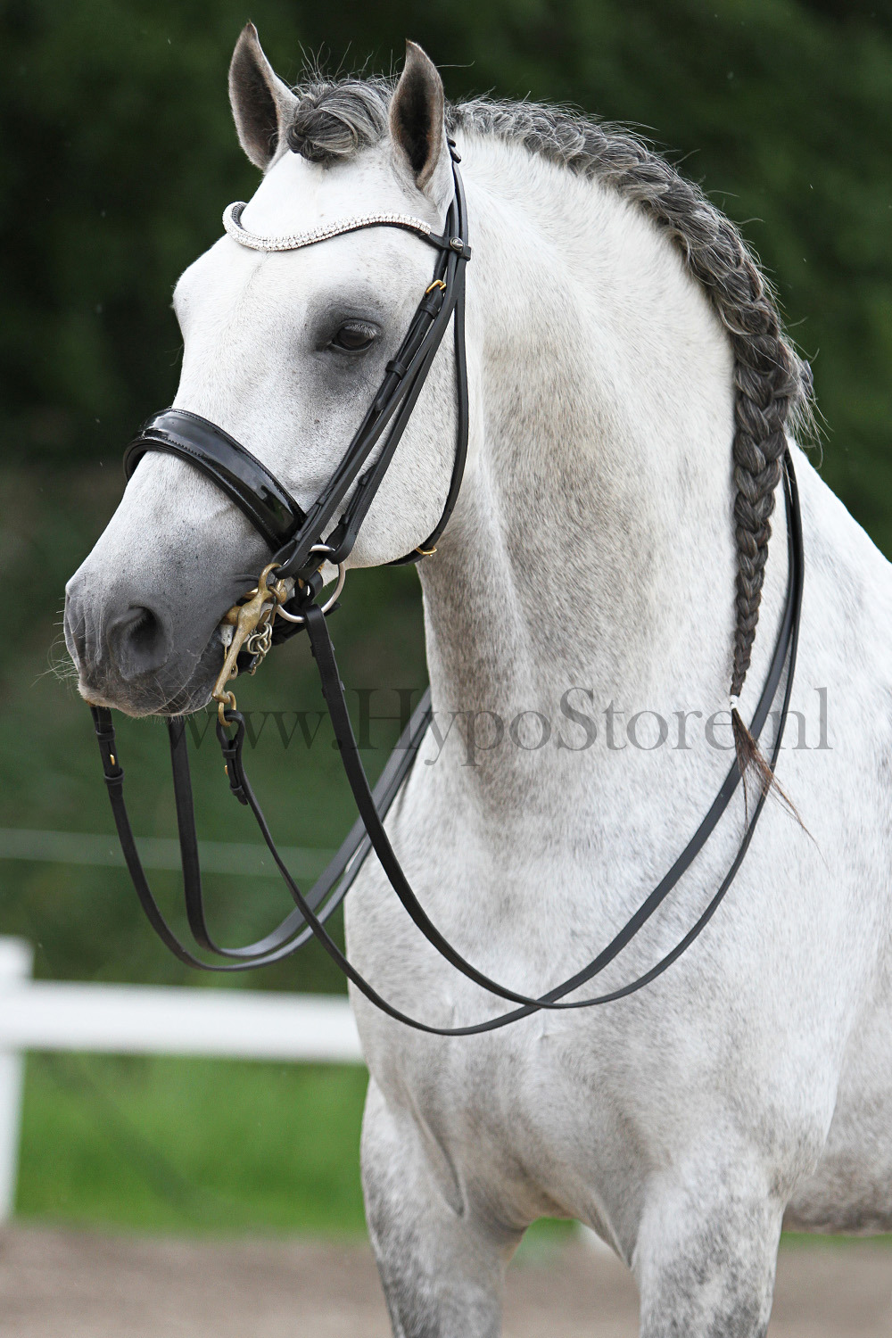 Premiera "Prades" black double bridle with bling browband, gold hardware