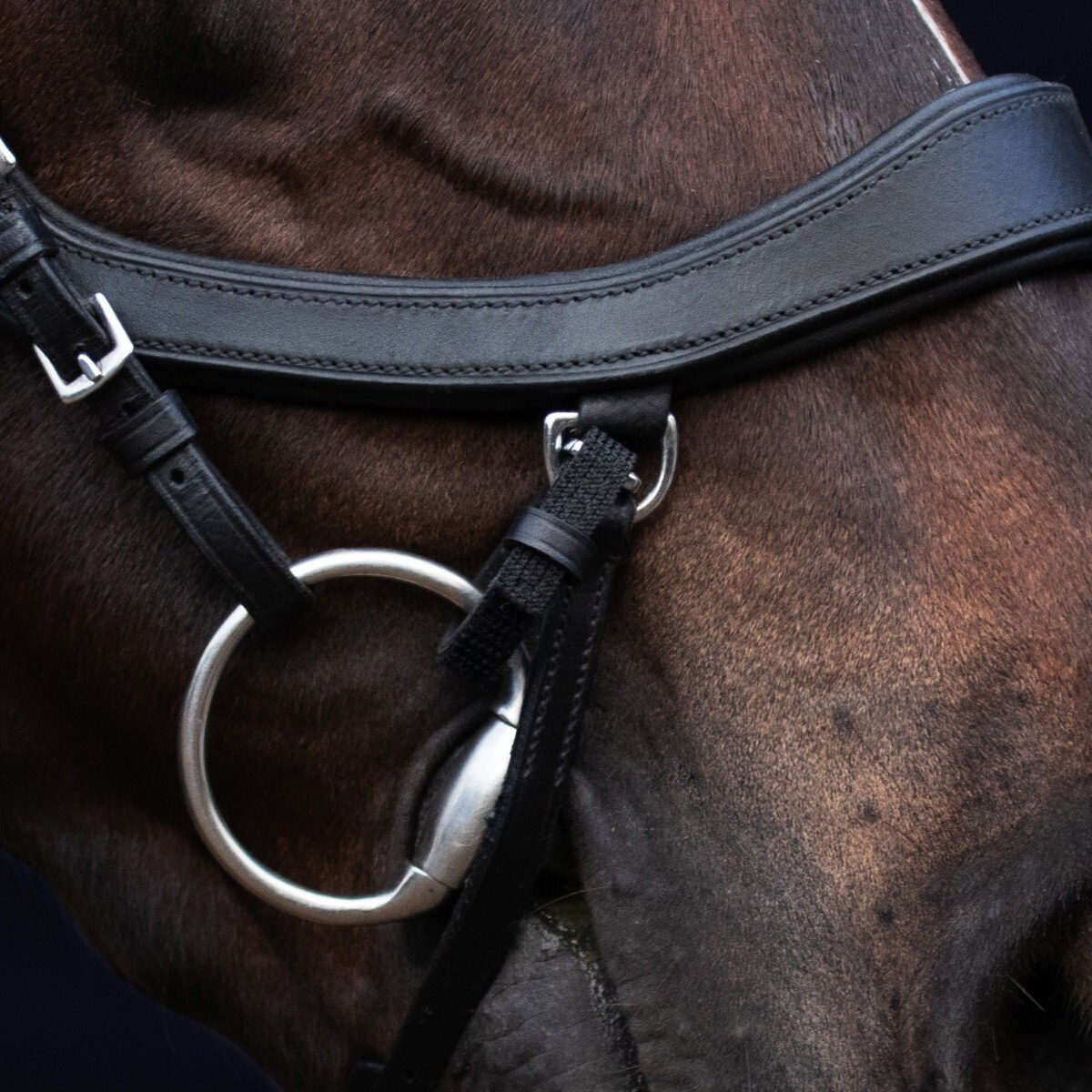 PresTeq FaySport Elastic Bit Straps