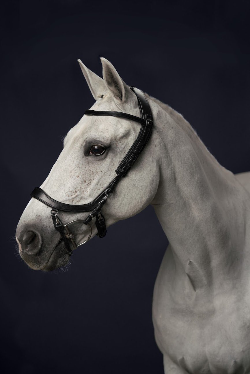 PresTeq FaySport Bridle