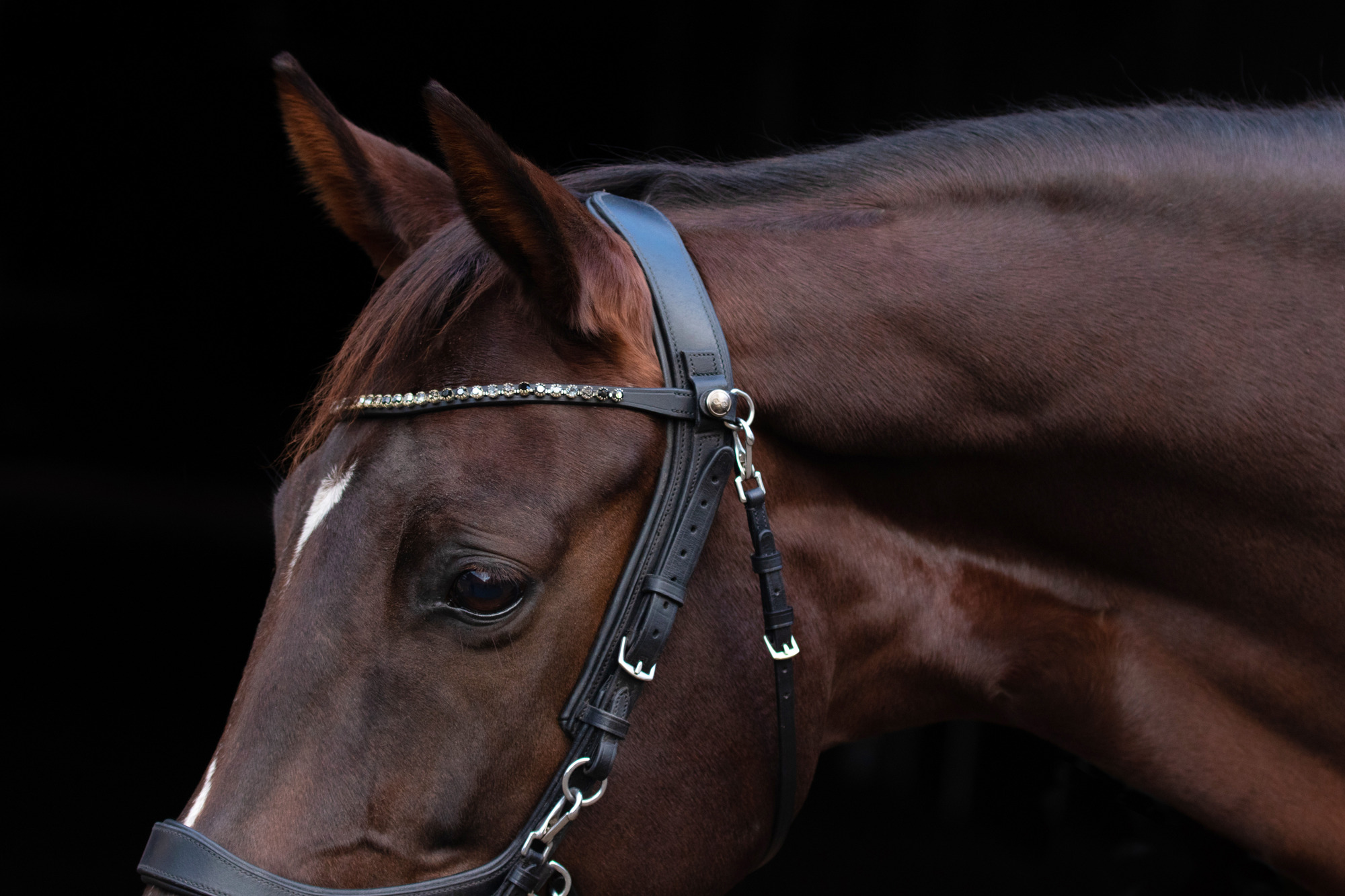 PresTeq FaySport Throatlash