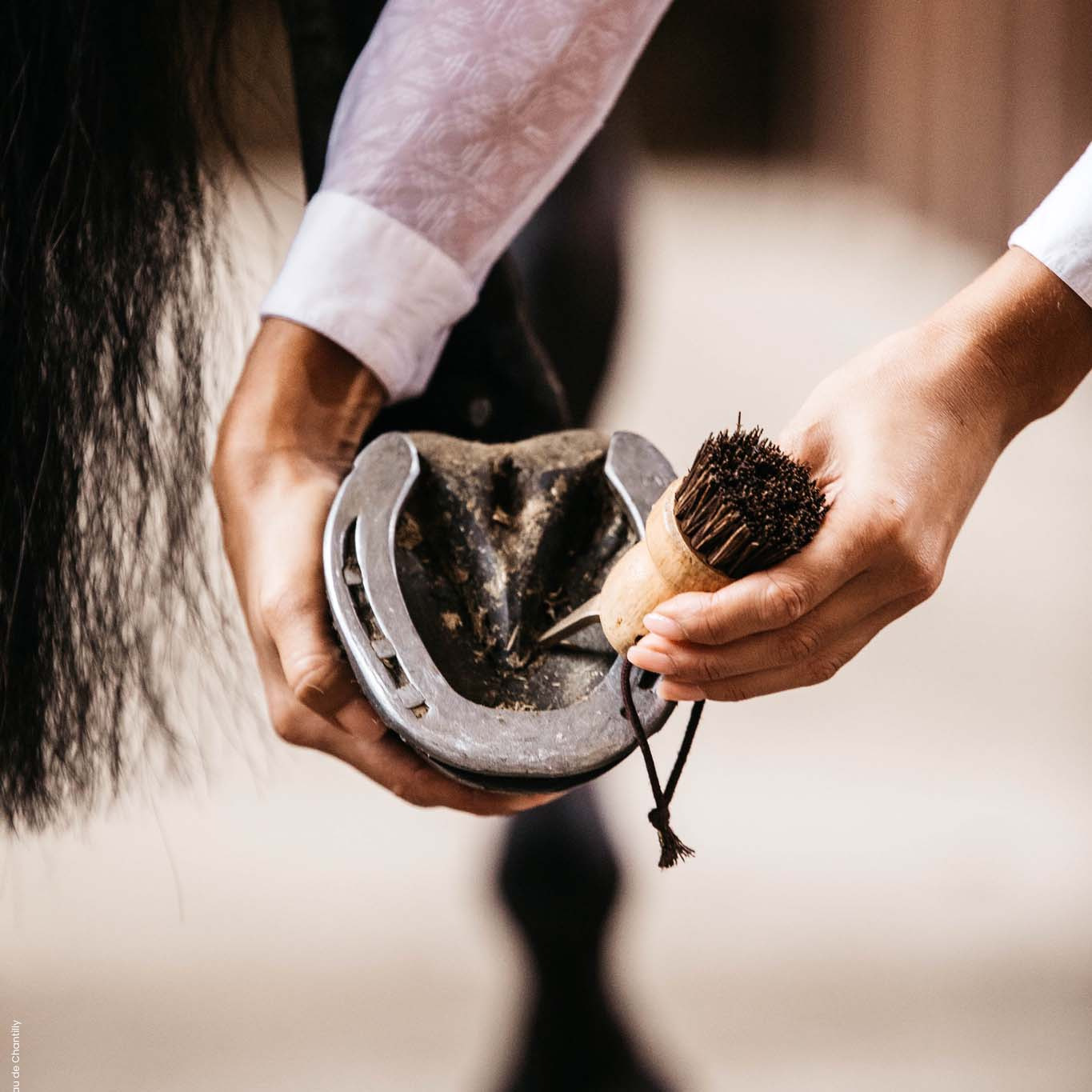 Grooming Deluxe Hoof Pick Small