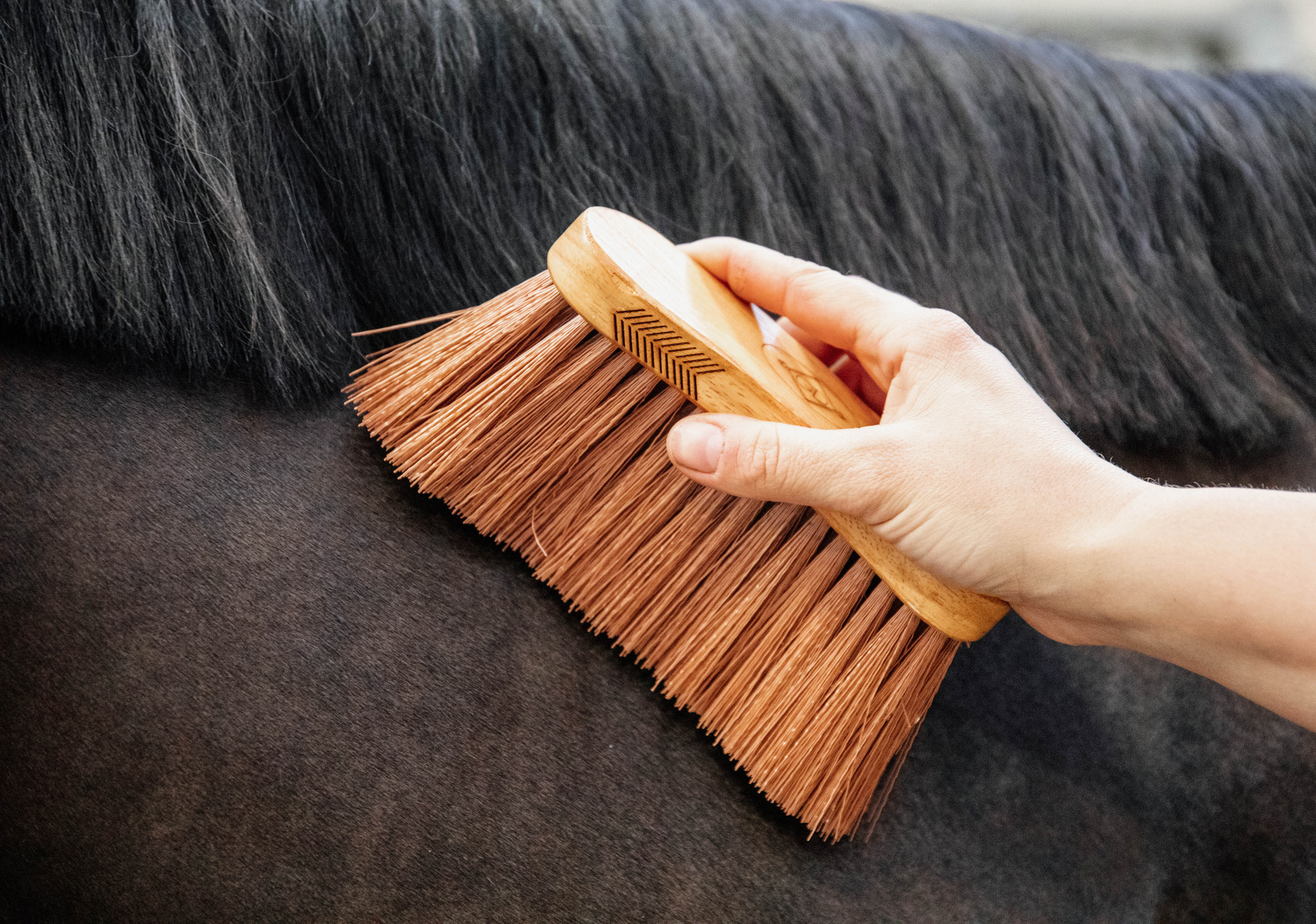 Grooming Deluxe Bürste Mittel Medium