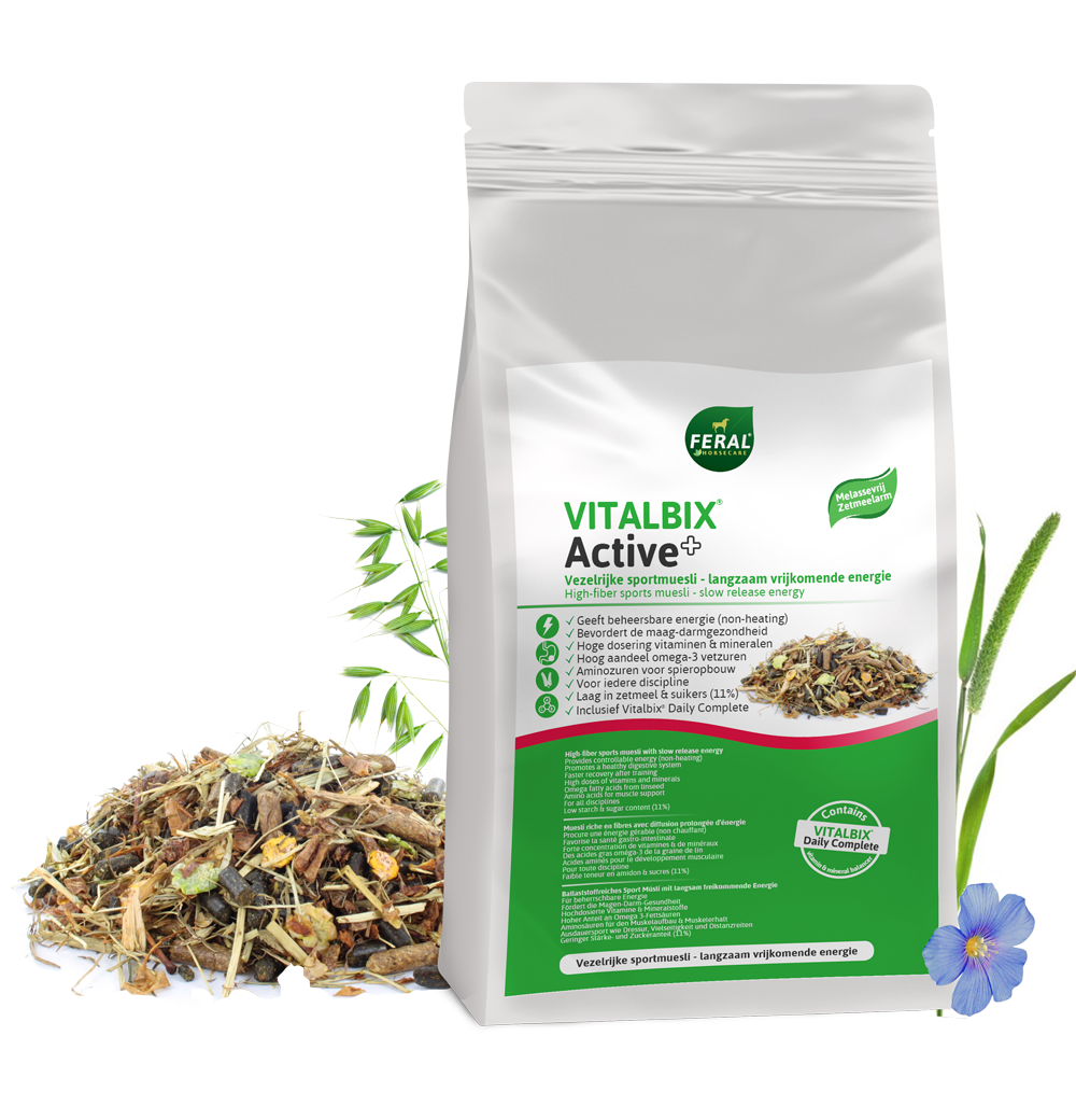 Vitalbix Active+