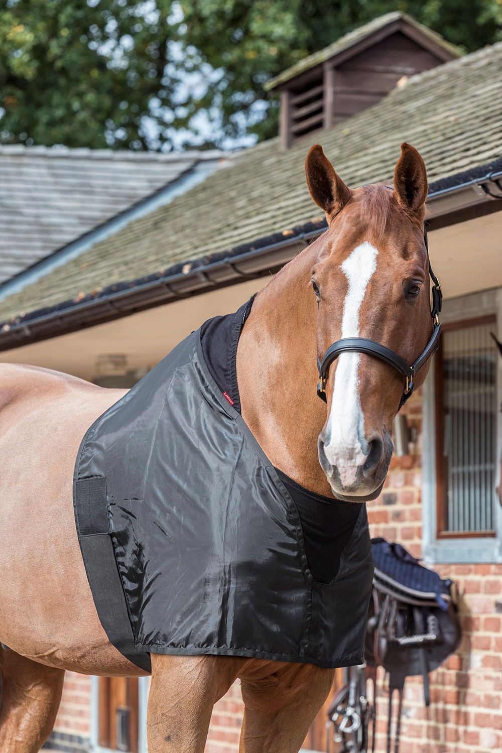 LeMieux anti-rub bib