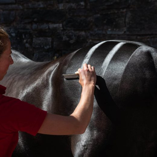 Smart Grooming Quarter-Marking Gel