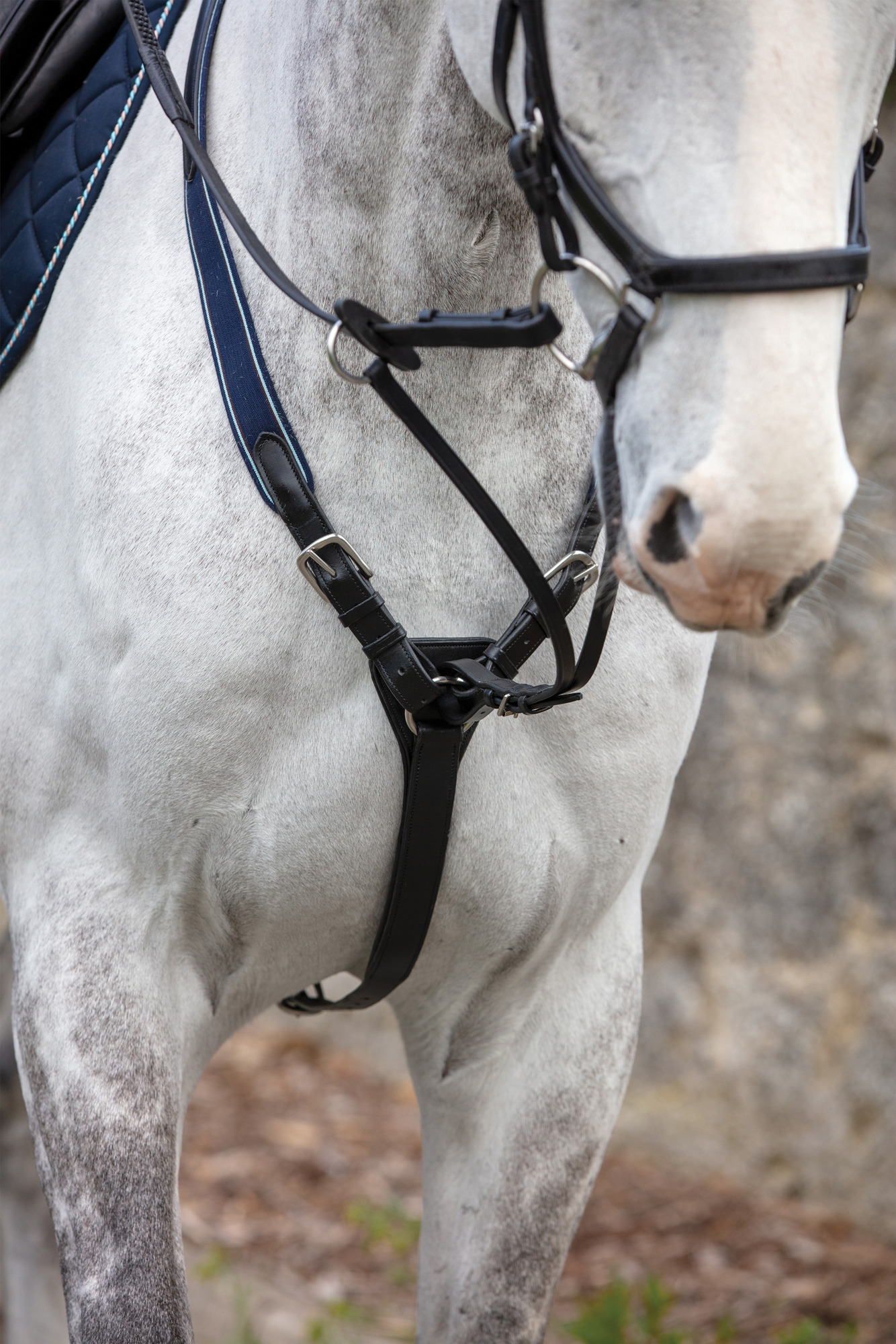 Rambo Micklem Breastplate Leather