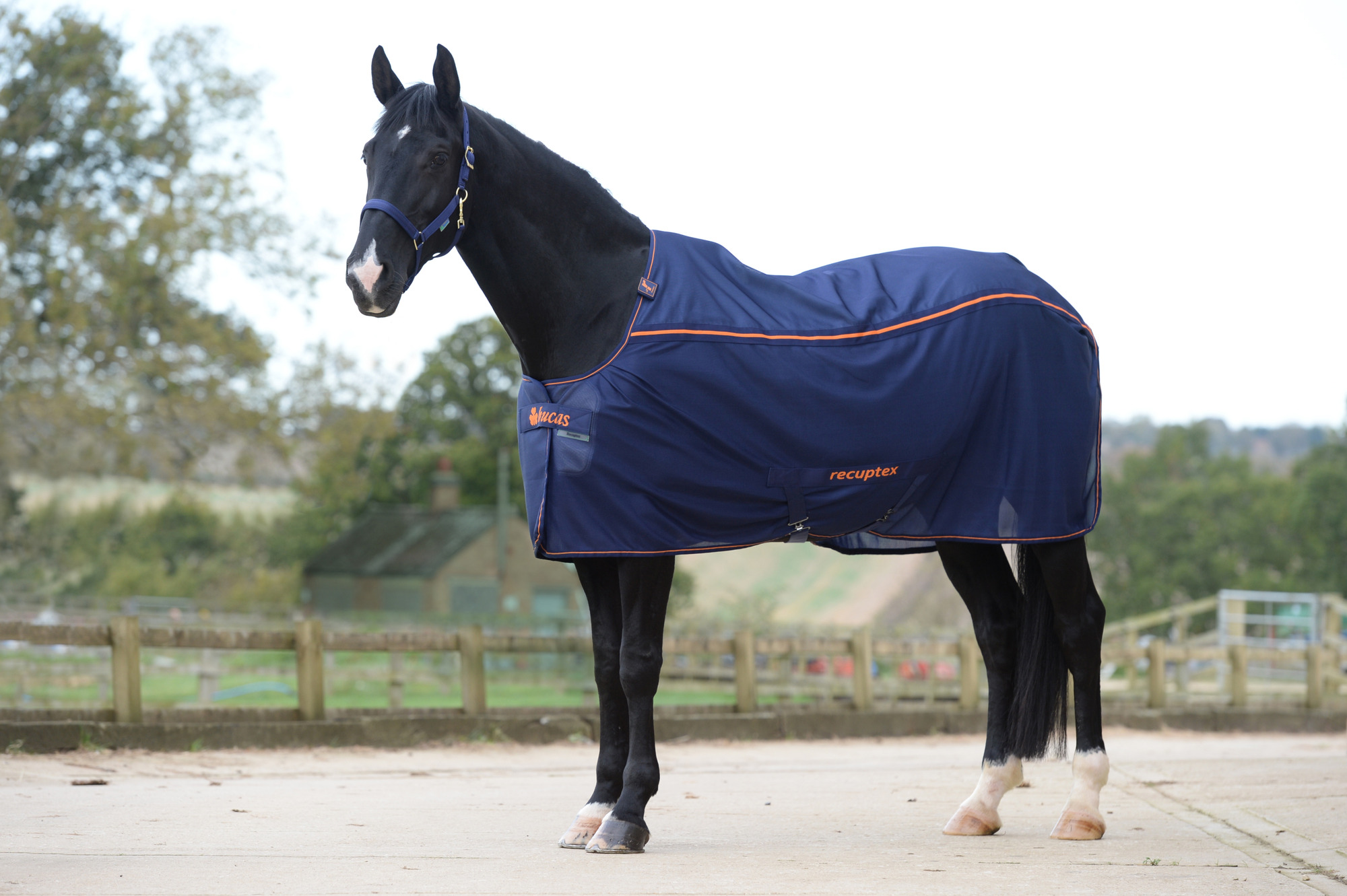 Bucas Therapy Light Mesh Cooler