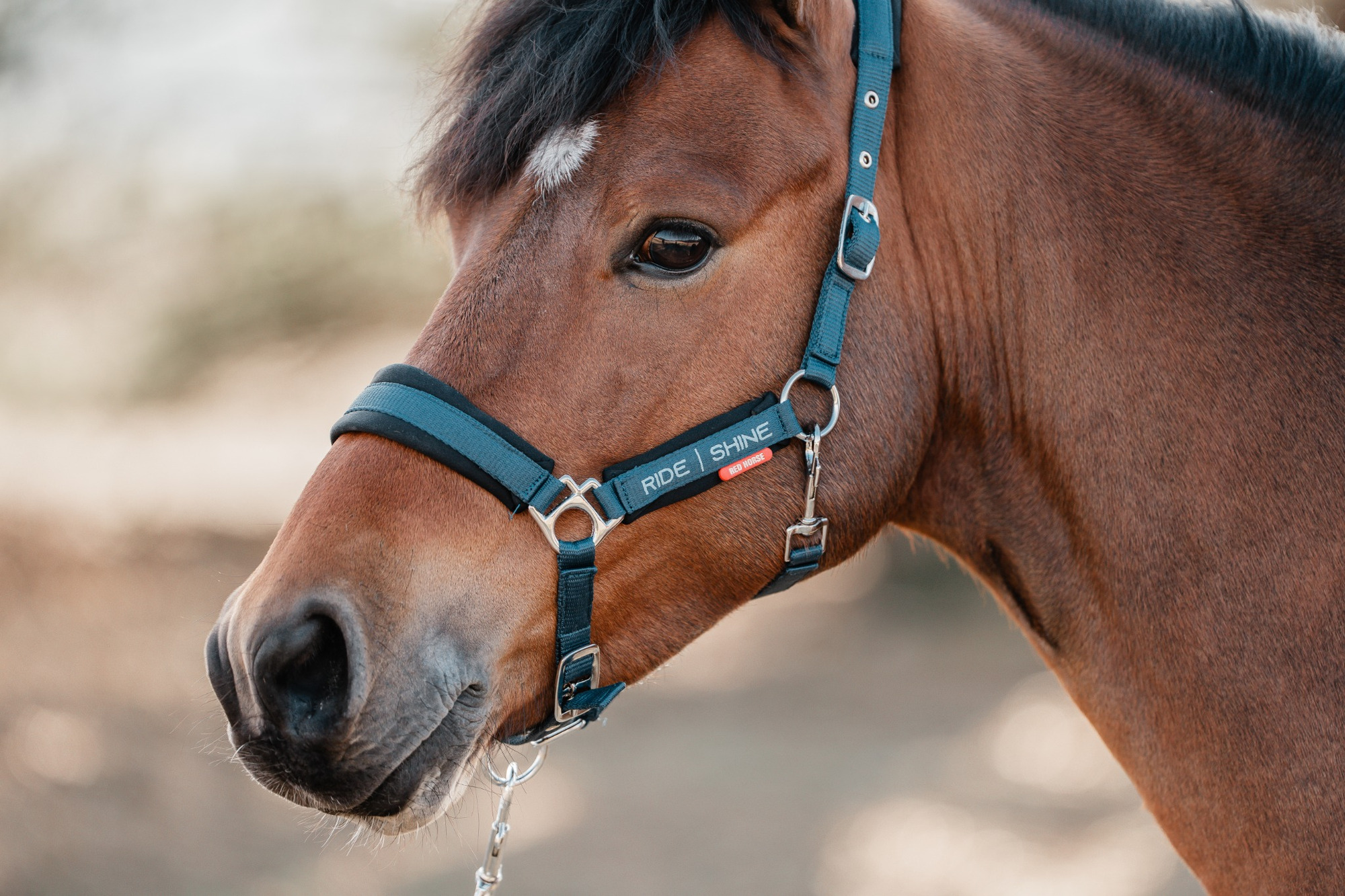 Red Horse FW26 Halfter-Set Miyah