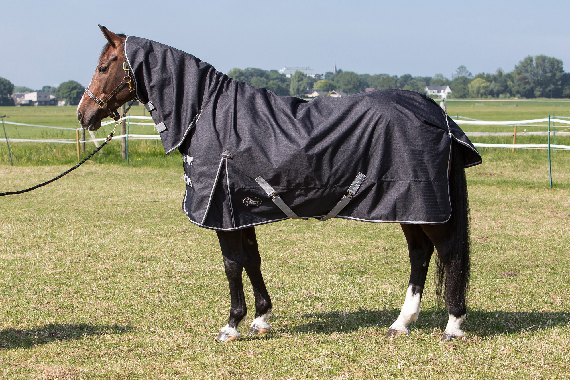 Harry's Horse Thor Rain Sheet 0 g with Neck Stretch limo