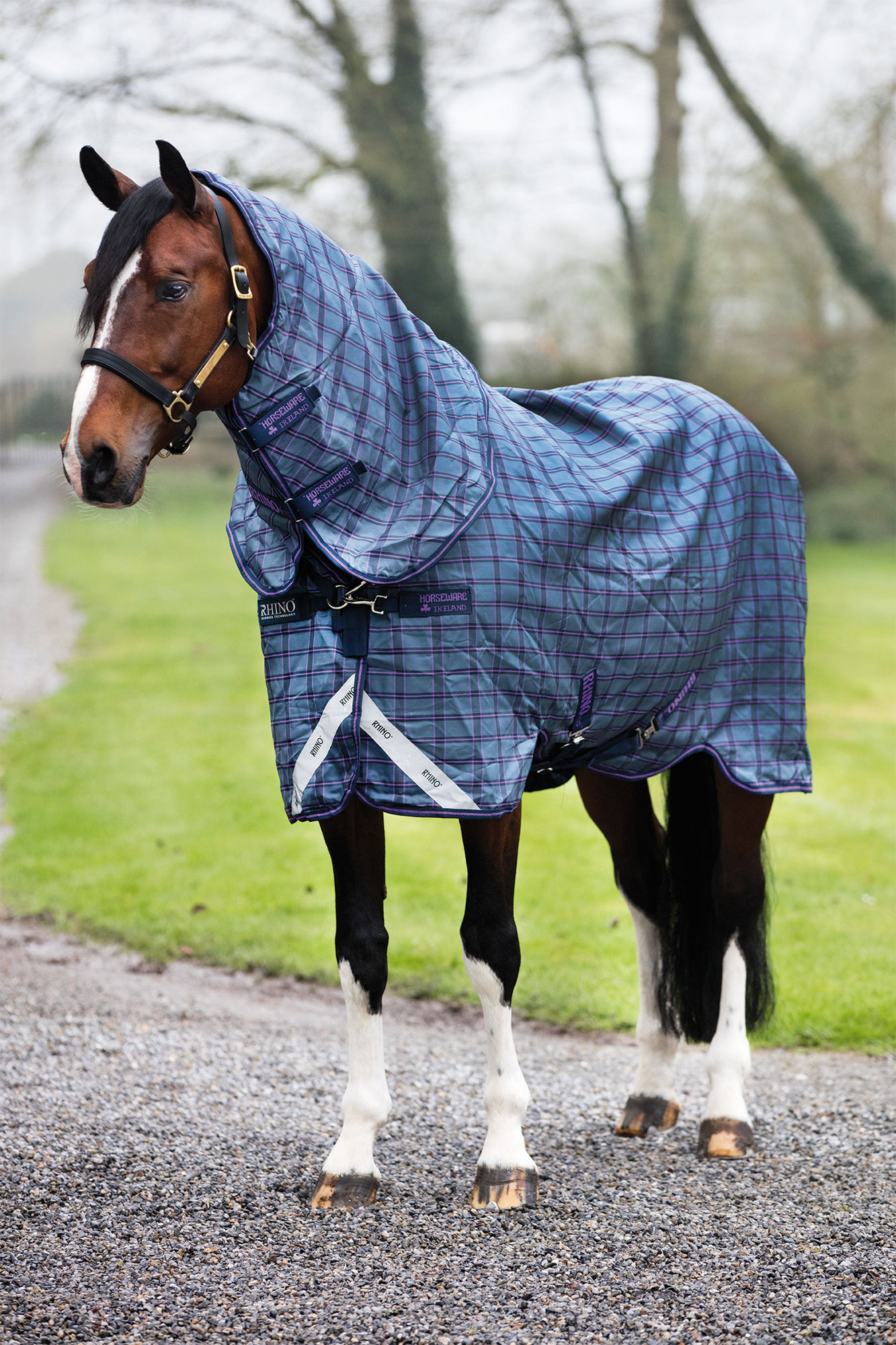 Rhino Pony Plus Medium 200g