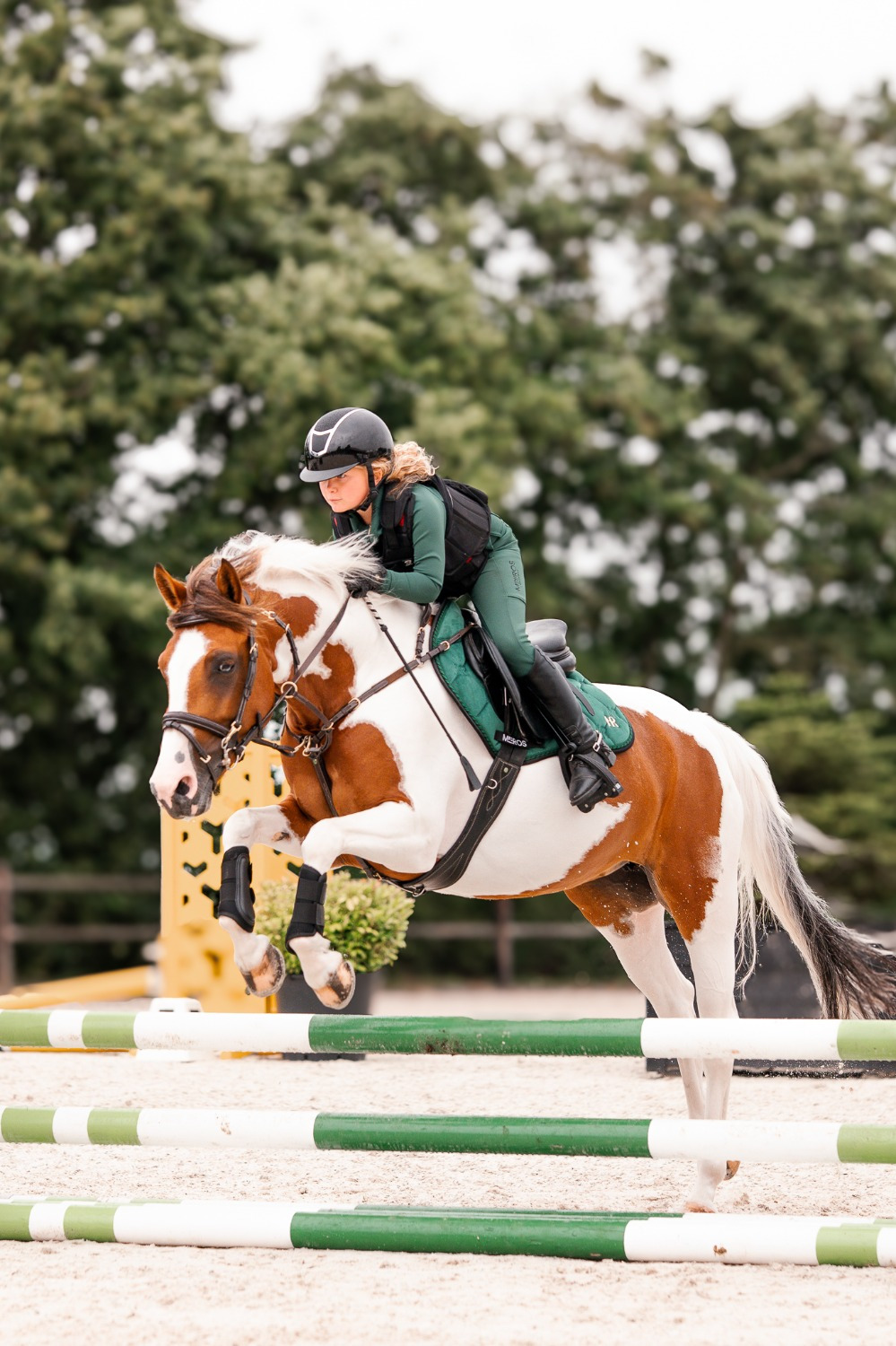 Mrs. Ros FW26 Jumping Saddle Pad Dark Forest