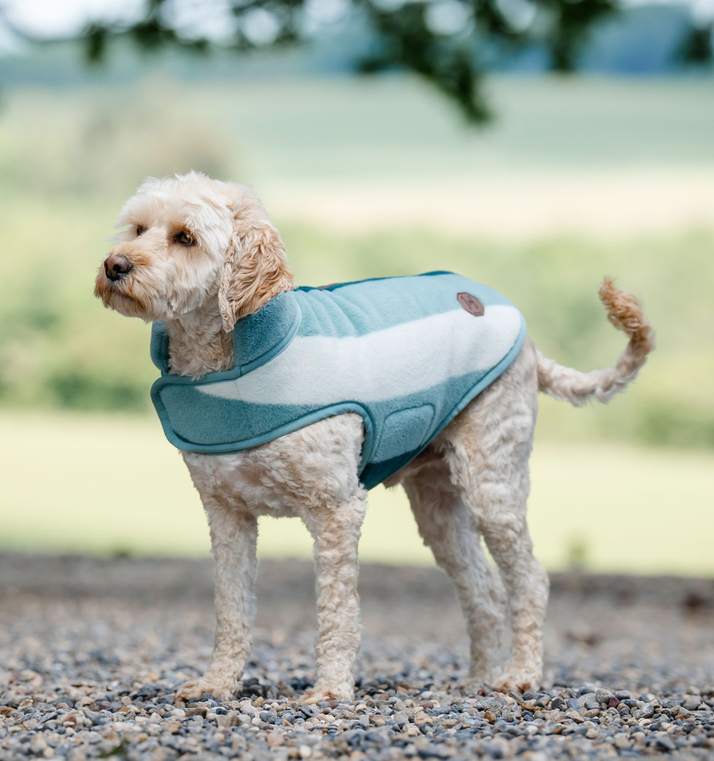 Horseware Newmarket Hundedecke aus Fleece
