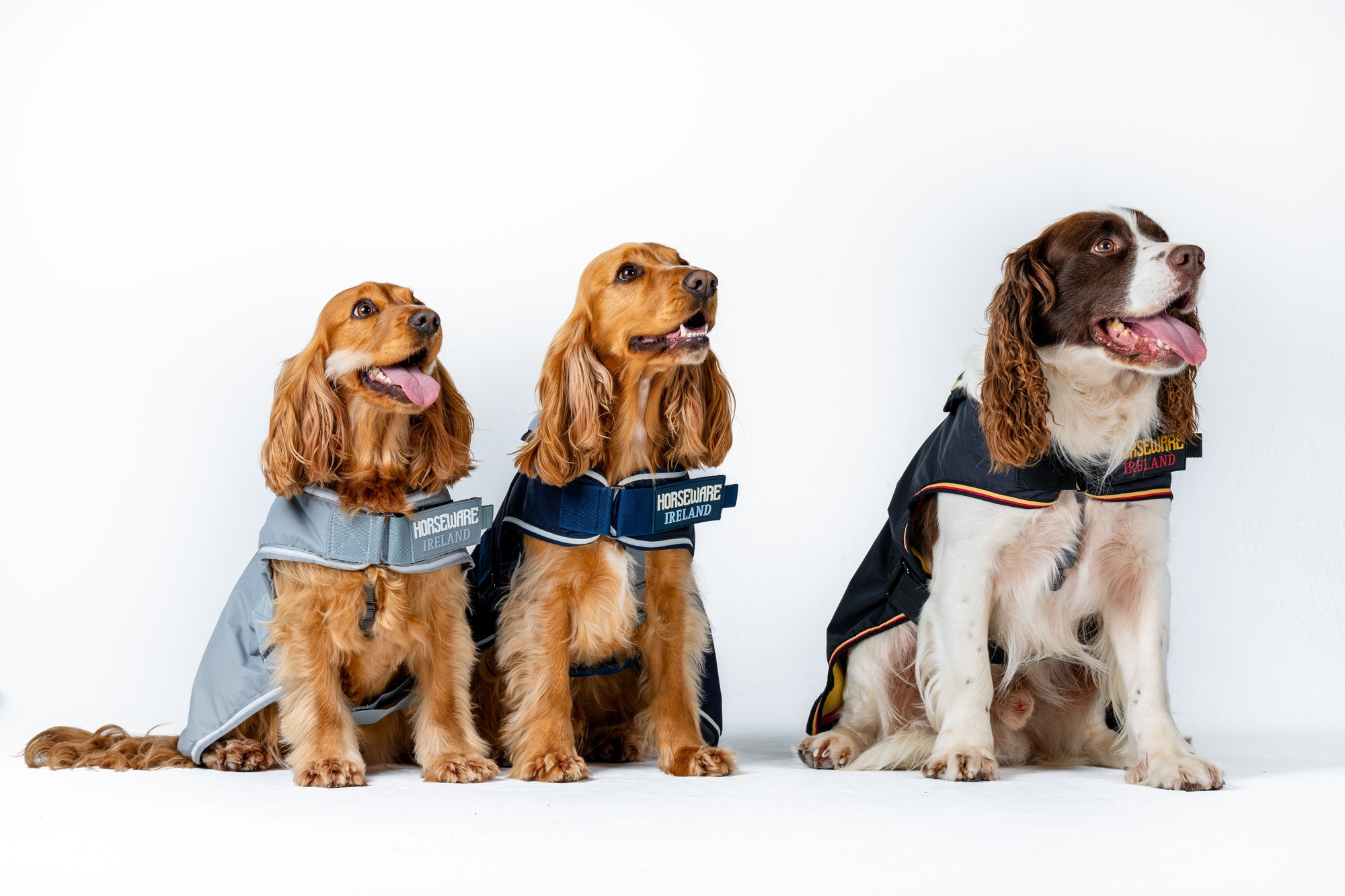Horseware Newmarket Hundemantel