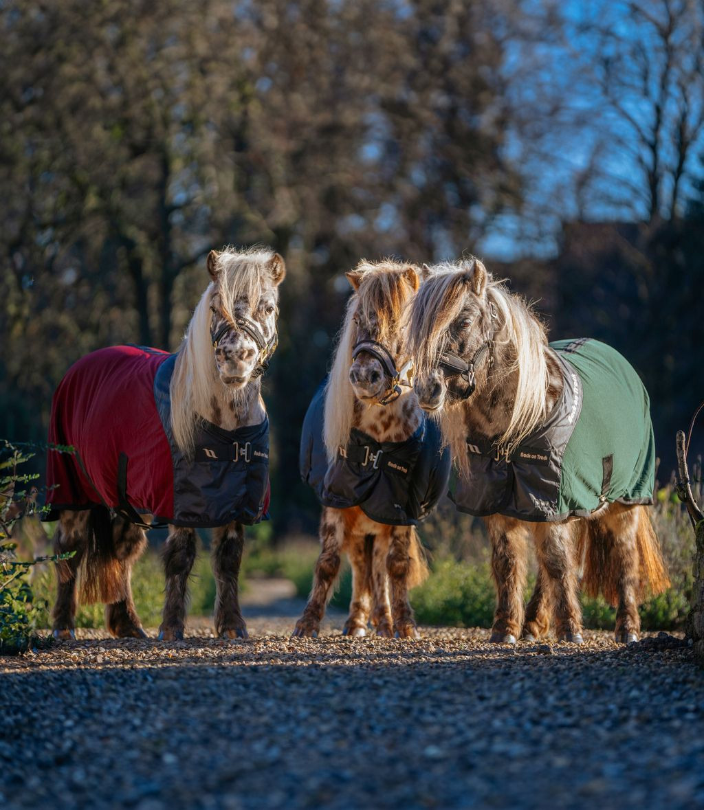 Back on Track Royal Netzdecke Pony