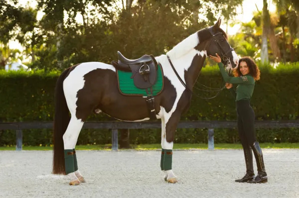 Equito Dressuur dekje Evergreen Bronze