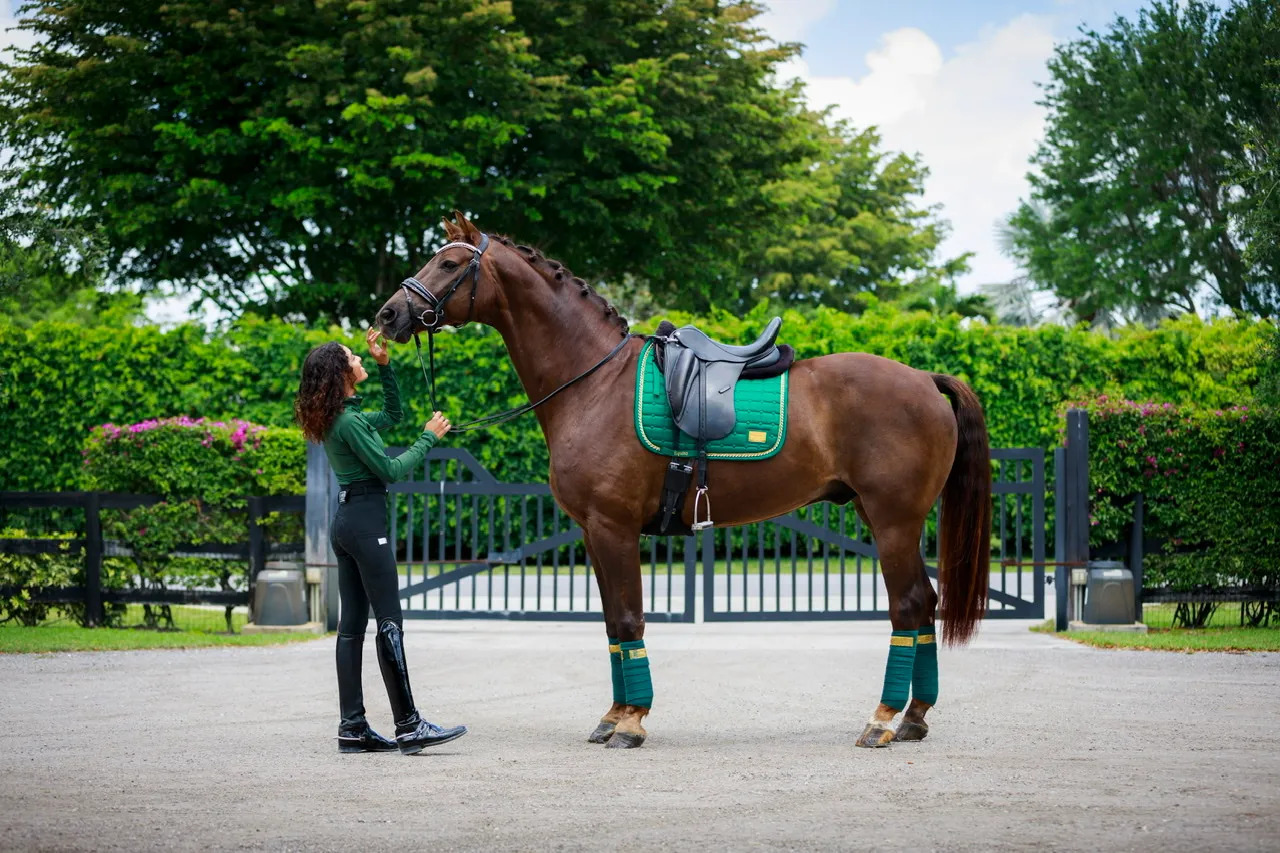 Equito Base Layer Evergreen Gold