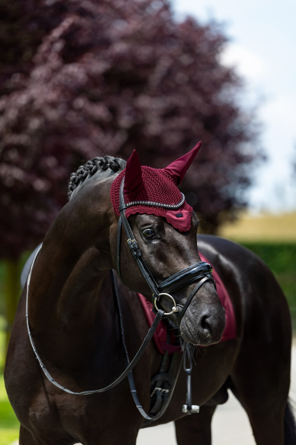 Equestrian Stockholm Velvet Merlot Ear Bonnet