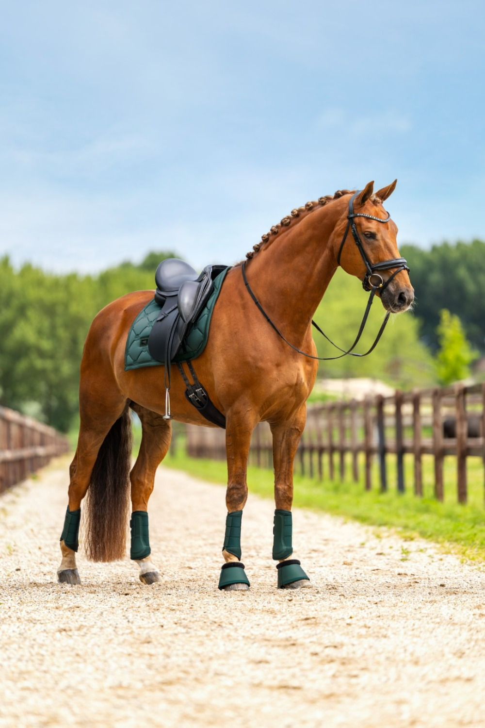 Equestrian Stockholm Sycamore Green Bell Boots