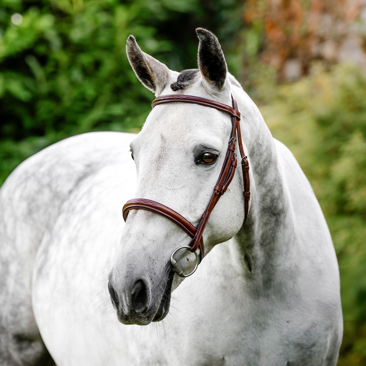 Horseware Hunter Trense mit englischem Reithalfter und Zügeln
