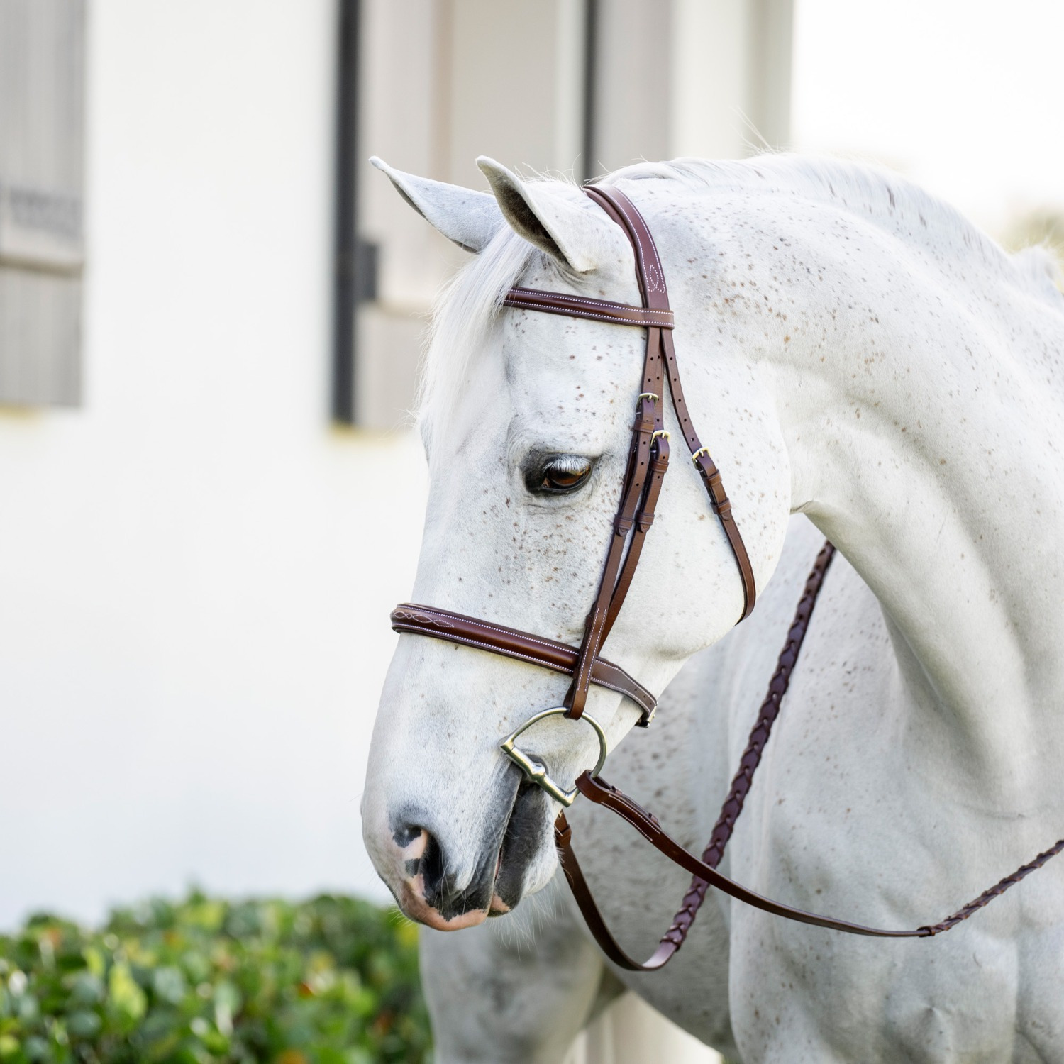 Horseware Pony Hunter-Zaum mit englischem Reithalfter und Zügeln