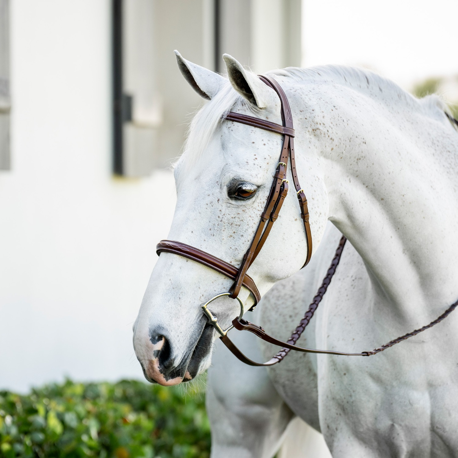 Horseware Pony Hunter-Zaum mit englischem Reithalfter und Zügeln
