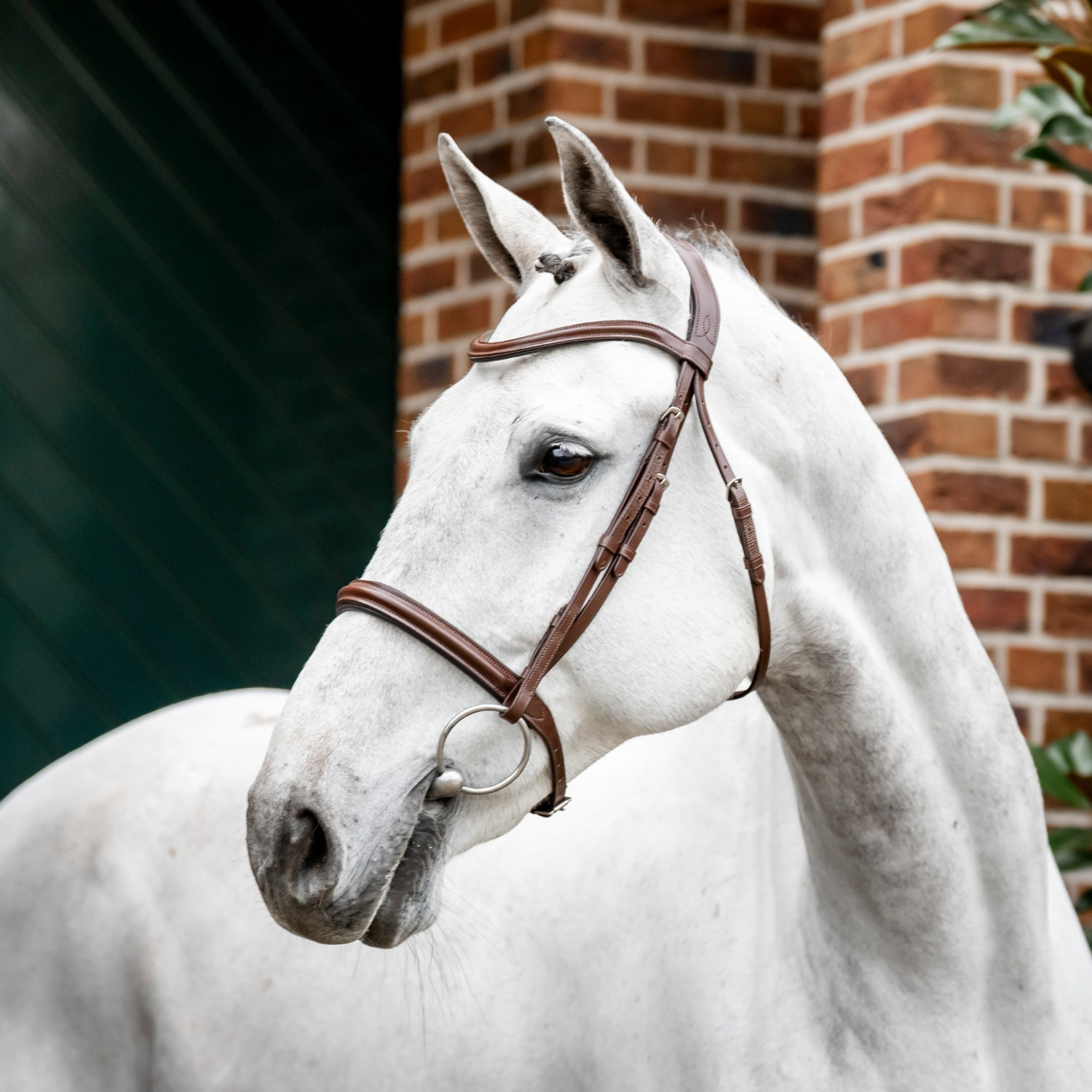 Horseware Kappzaum-Trense