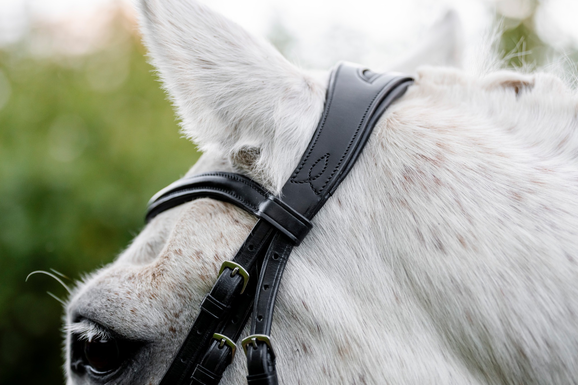 Horseware Pony-Trense mit englischem Reithalfter