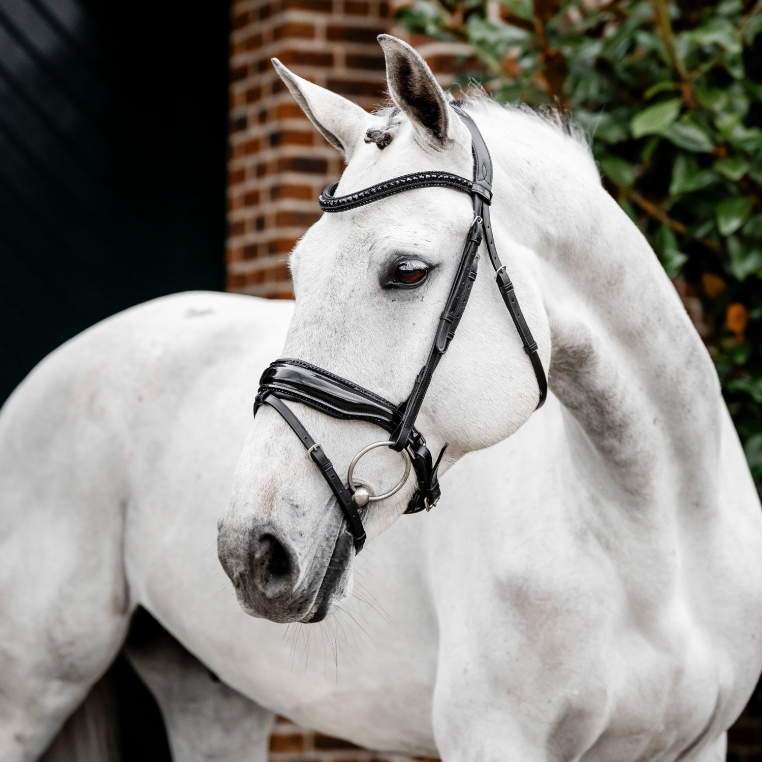 Horseware Diamante Kombinierte Trense
