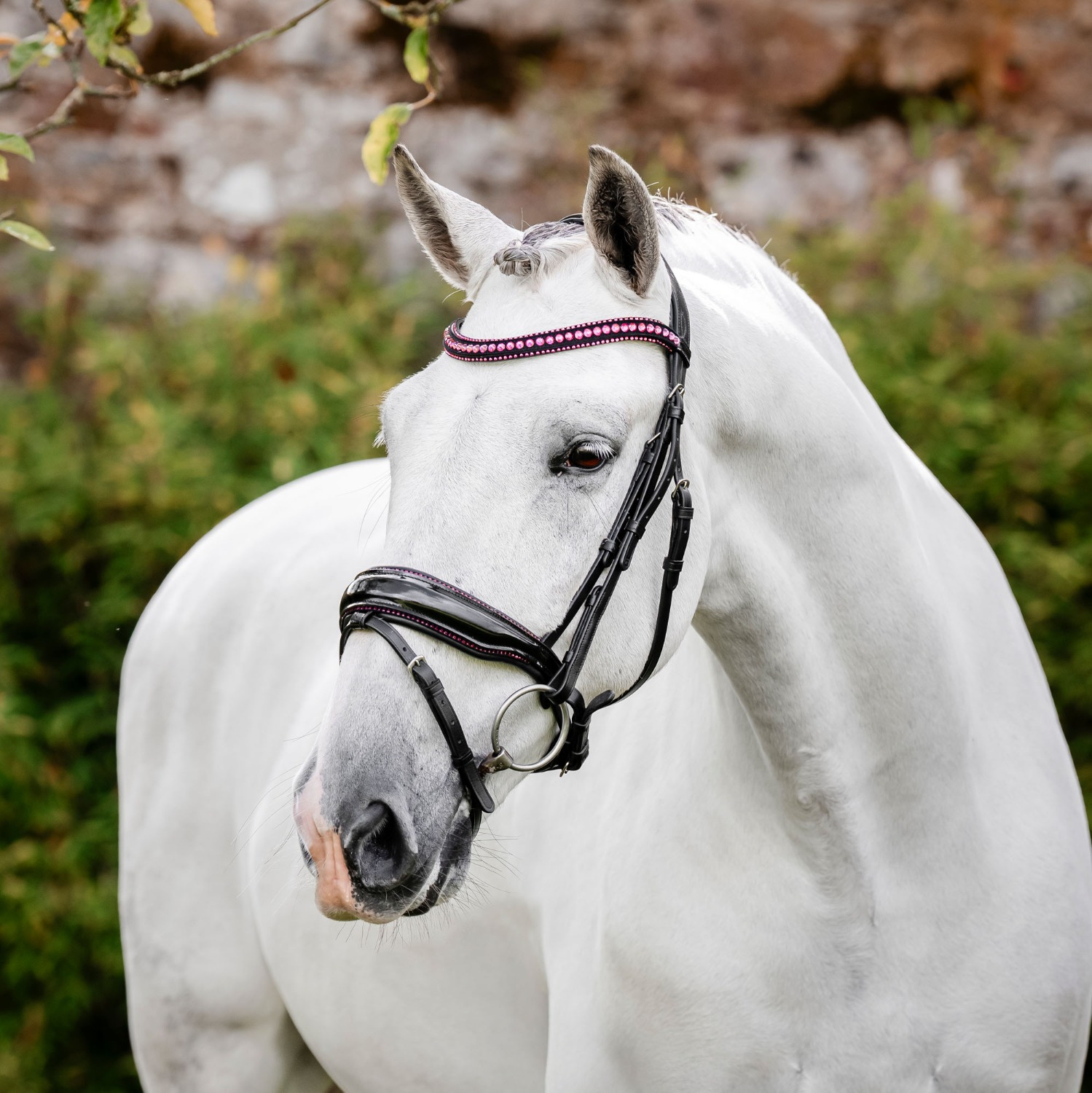 Horseware Diamante Kombinierte Trense