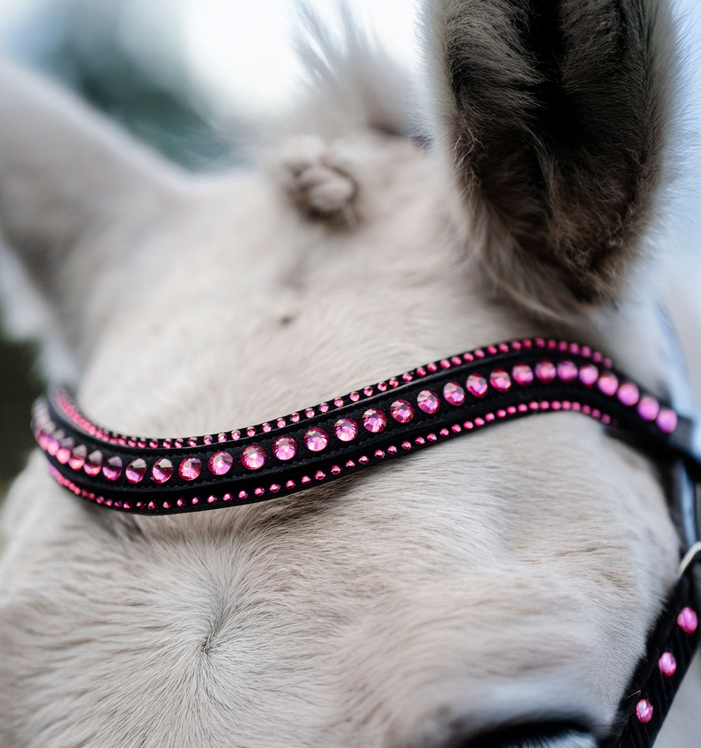 Horseware Pony Kombinierte Trense mit Strass