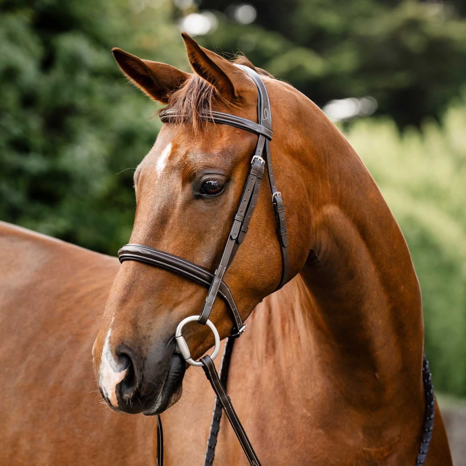 Horseware Hunter Trense