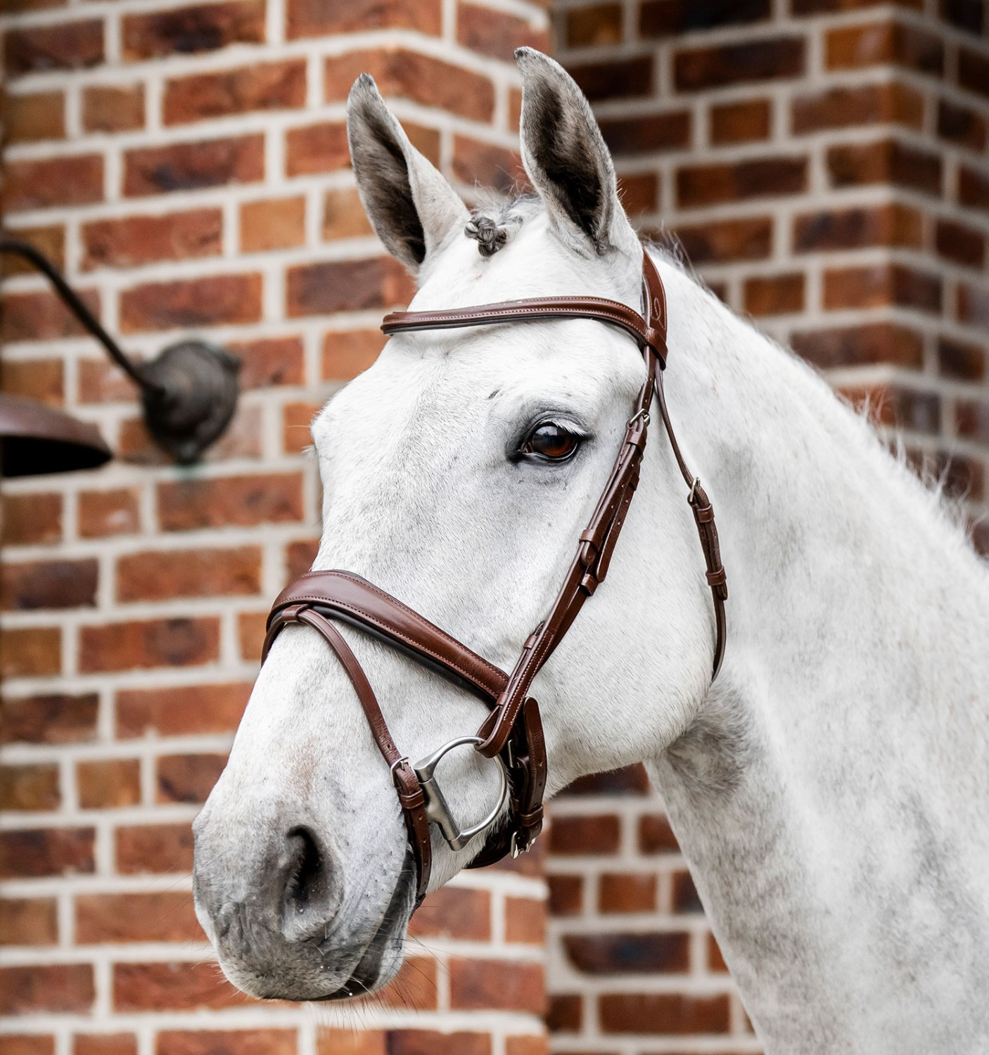 Horseware Dressurtrense mit kombiniertem Reithalfter