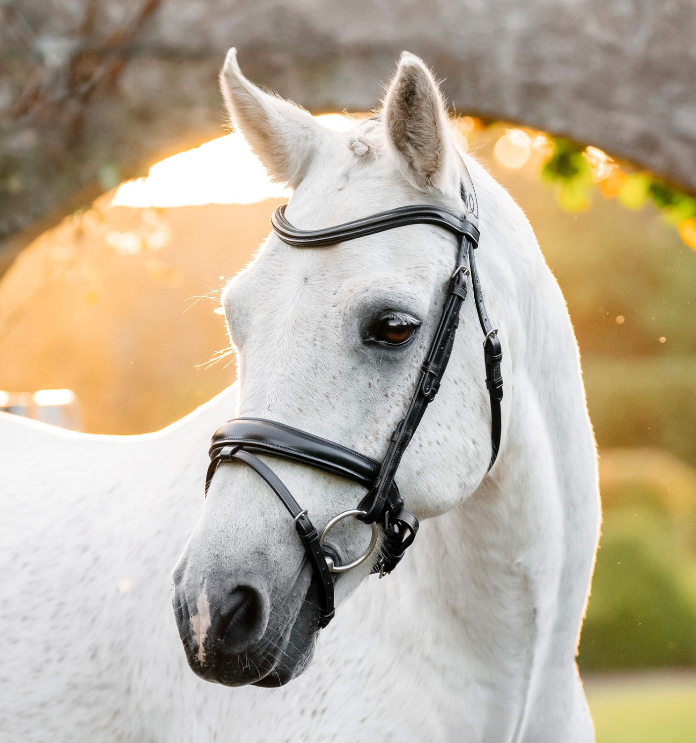 Horseware Pony Kombinierte Trense