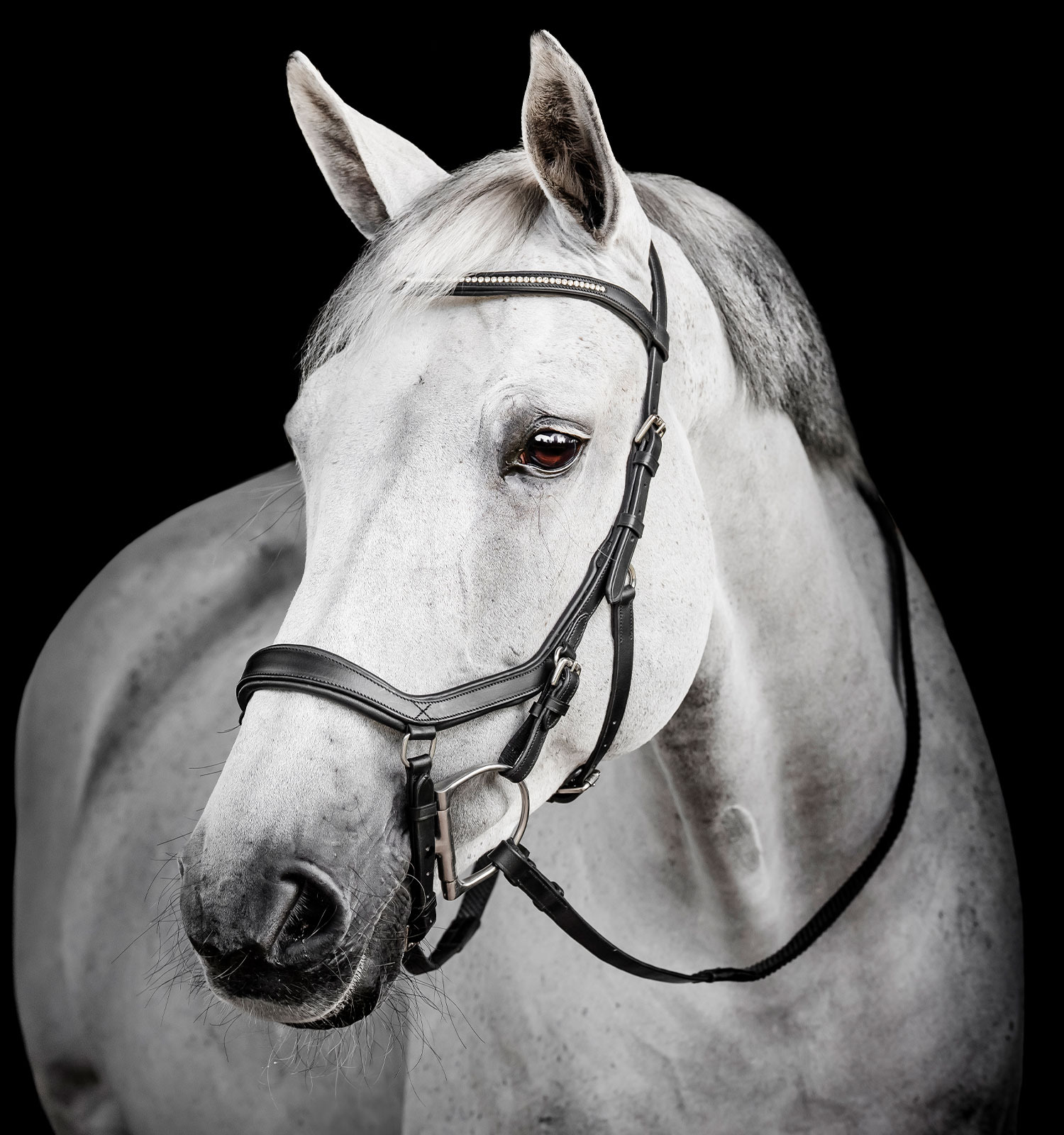 Horseware Micklem 3 Diamante Competition