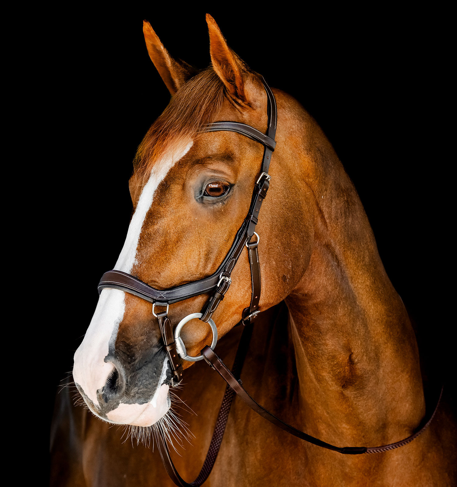 Horseware Micklem 3 Competition