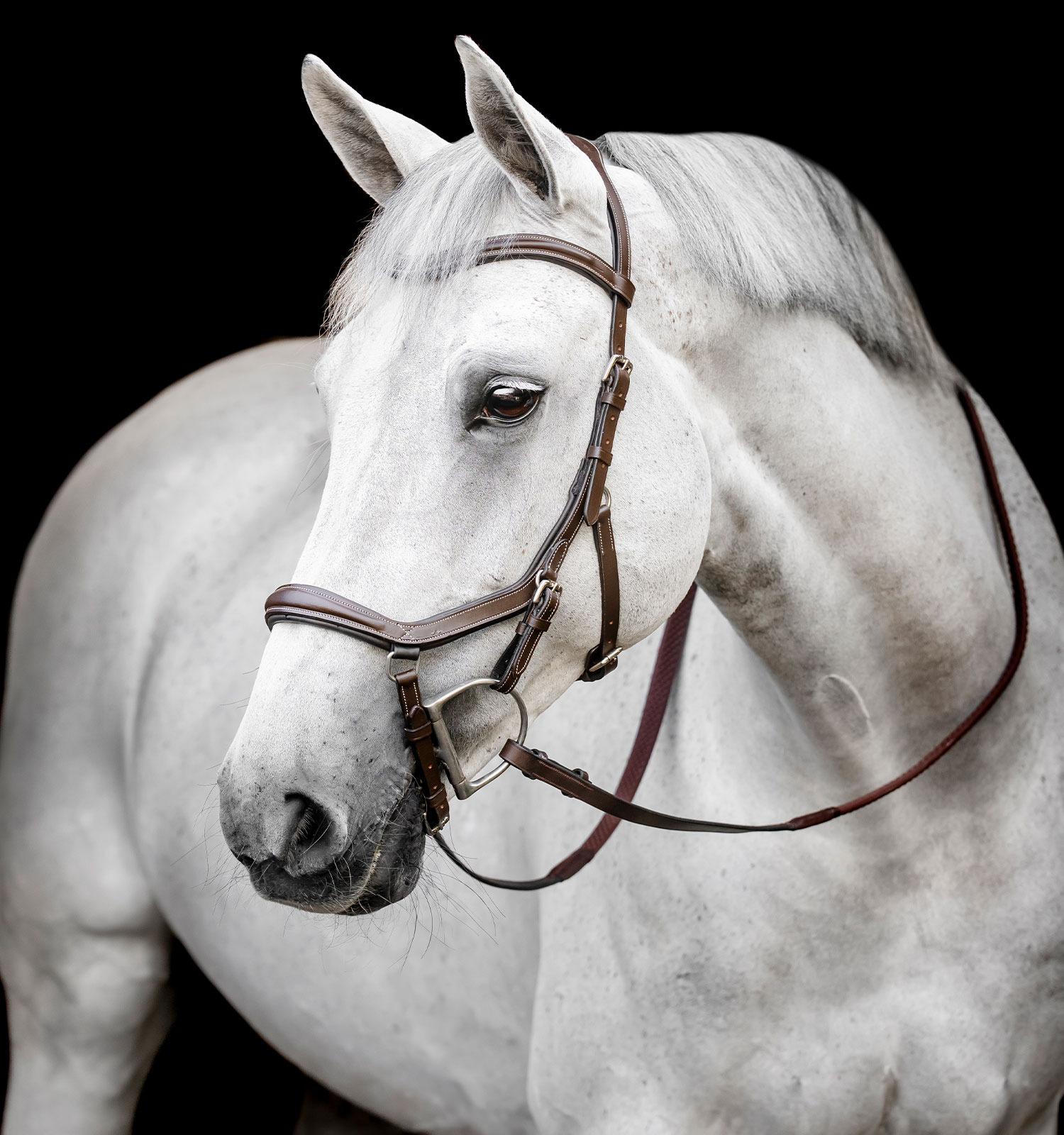 Horseware Micklem 3 Deluxe Competition