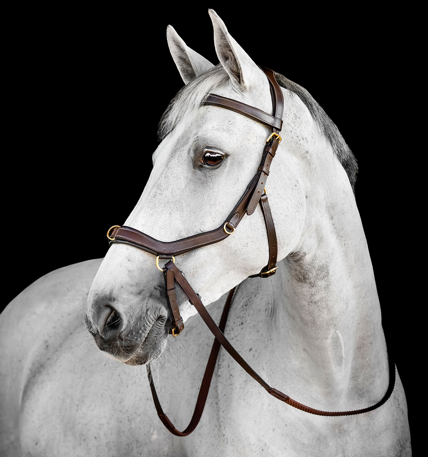 Horseware Micklem 3 Multi Bridle