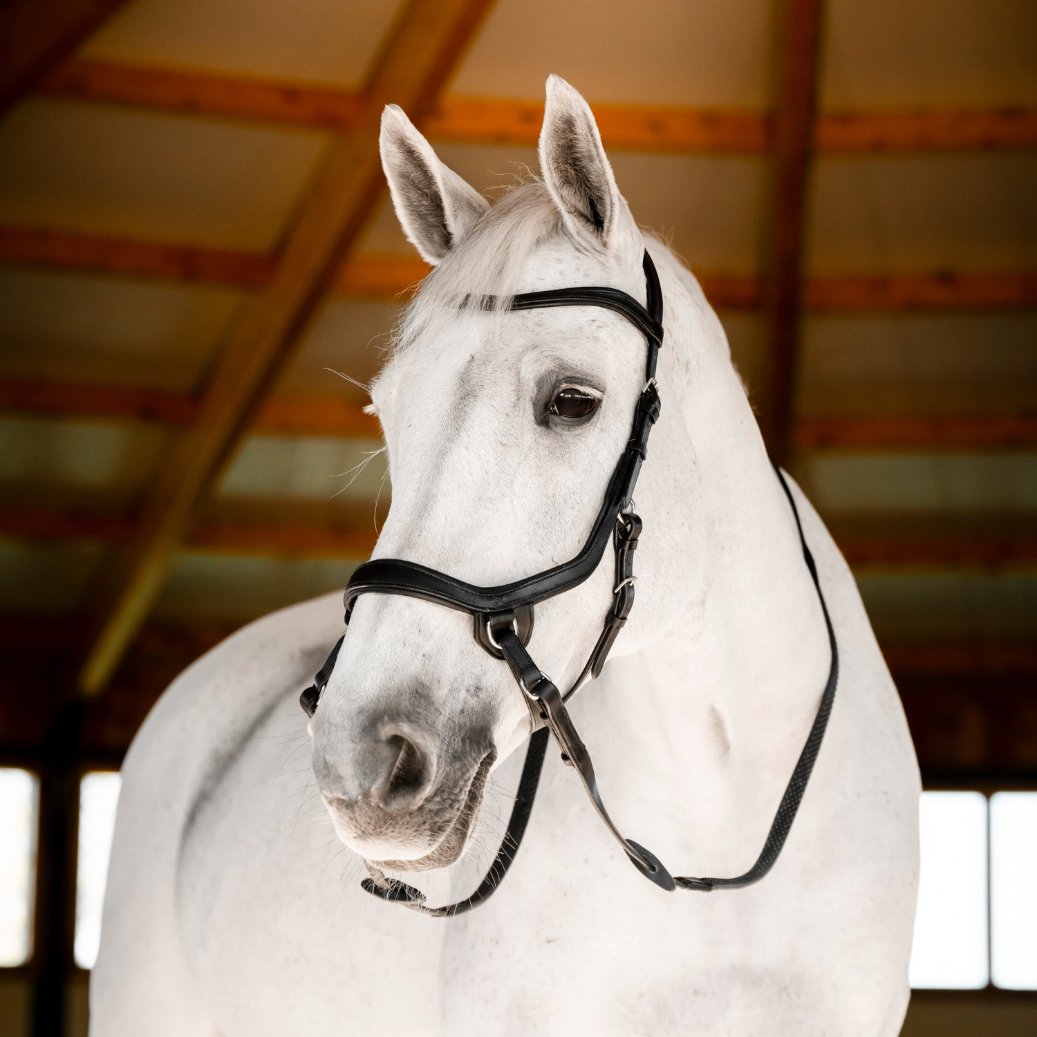Horseware Micklem Bitless Bridle