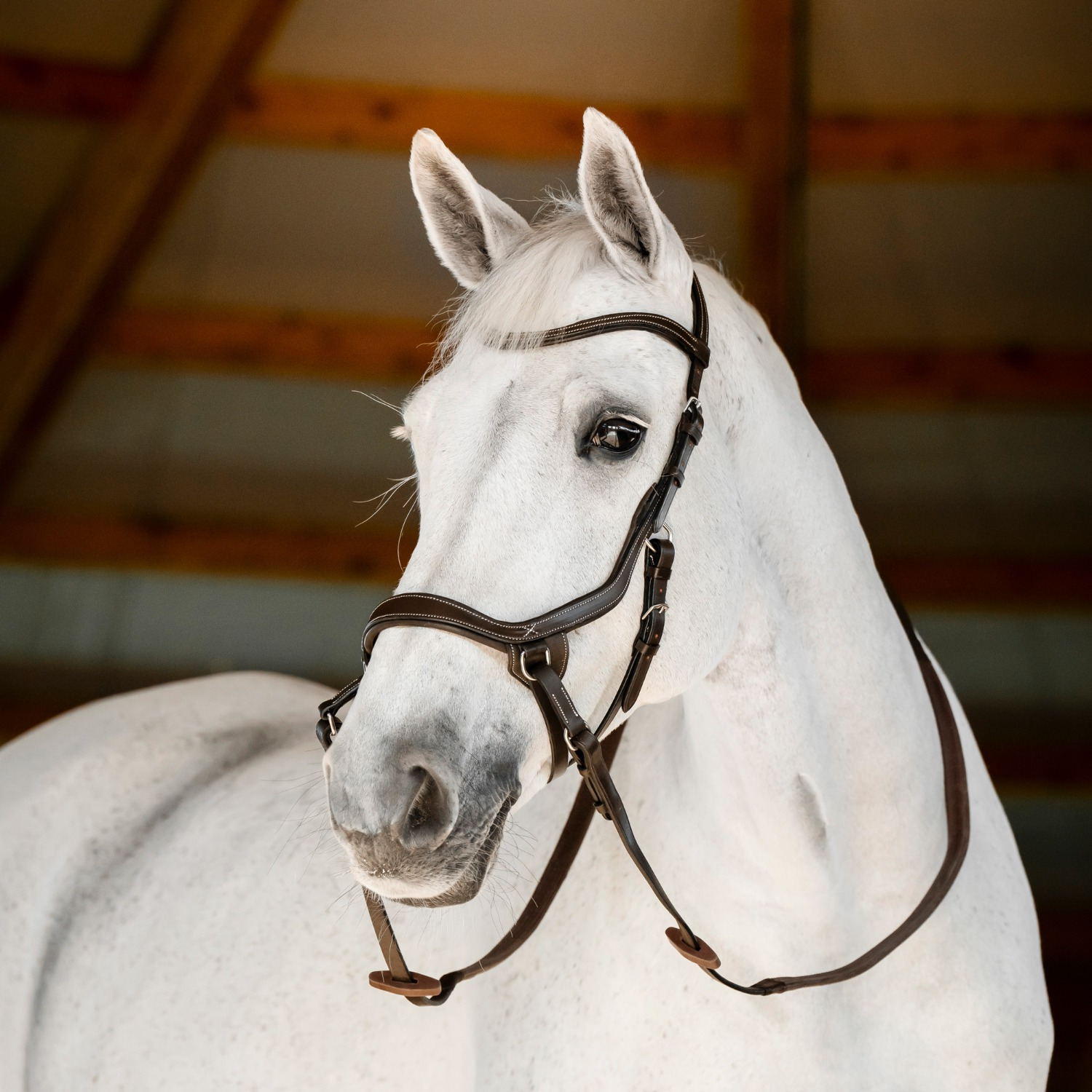 Horseware Micklem Bitless Bridle