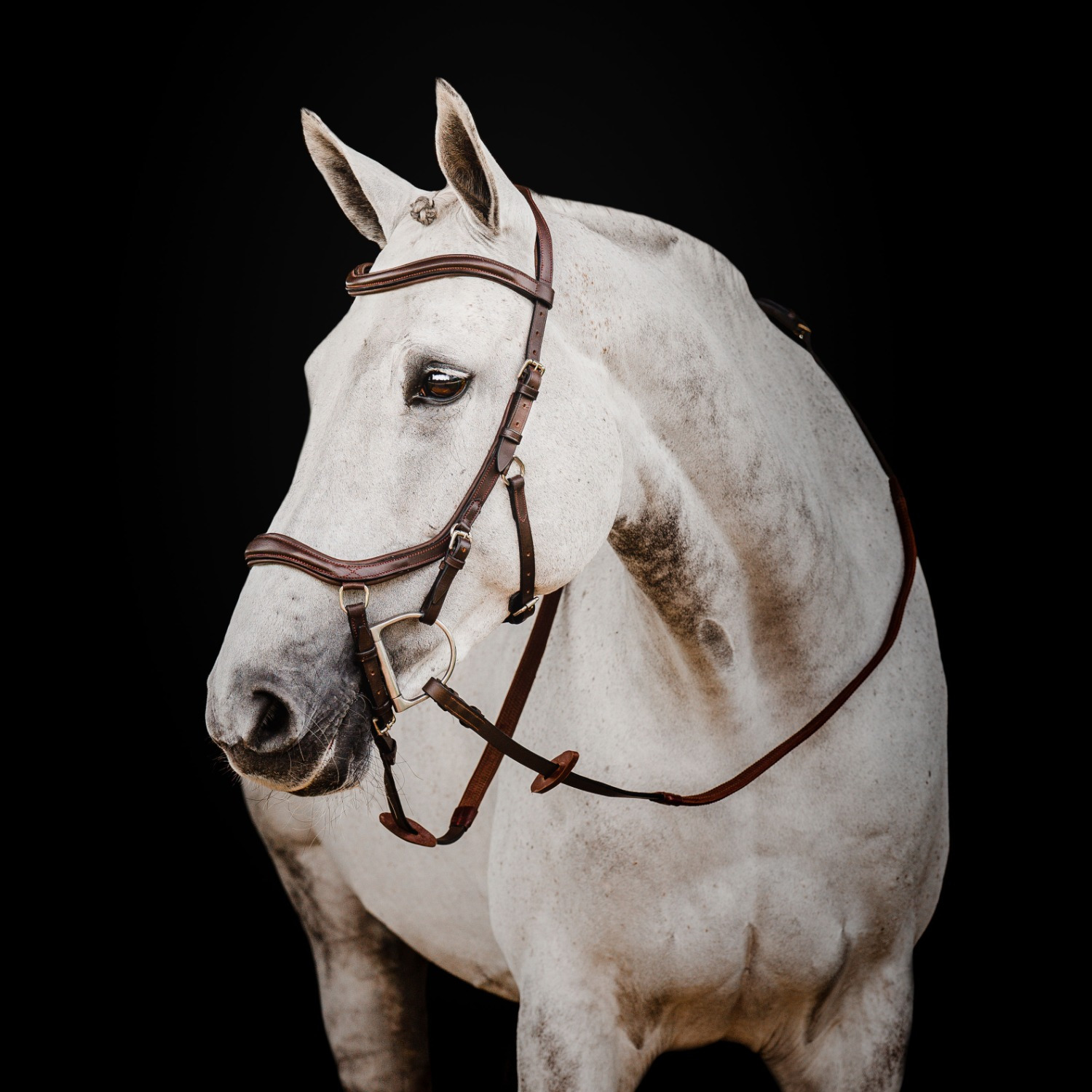 Horseware Micklem 2 Deluxe