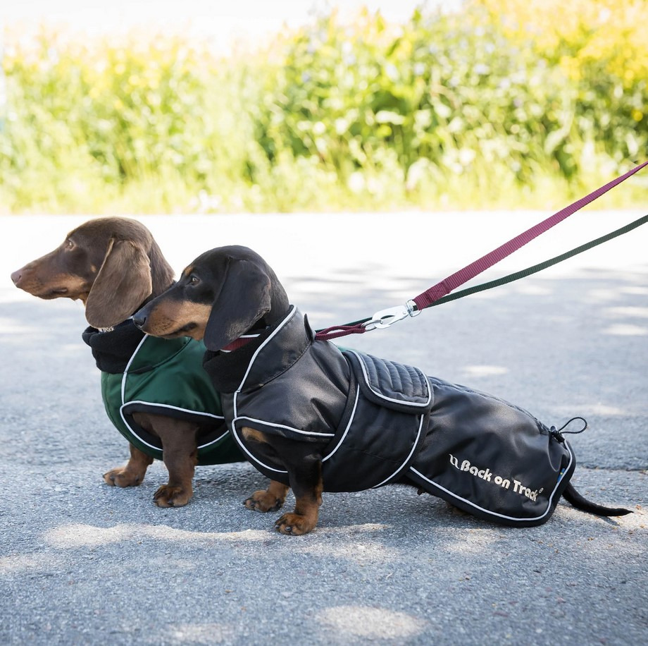 Back on Track Hundemantel Buddy